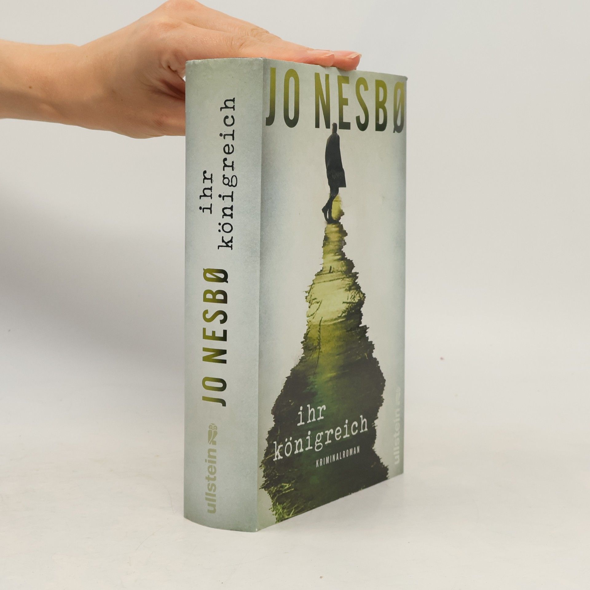 Jo Nesbø Ihr Königreich
