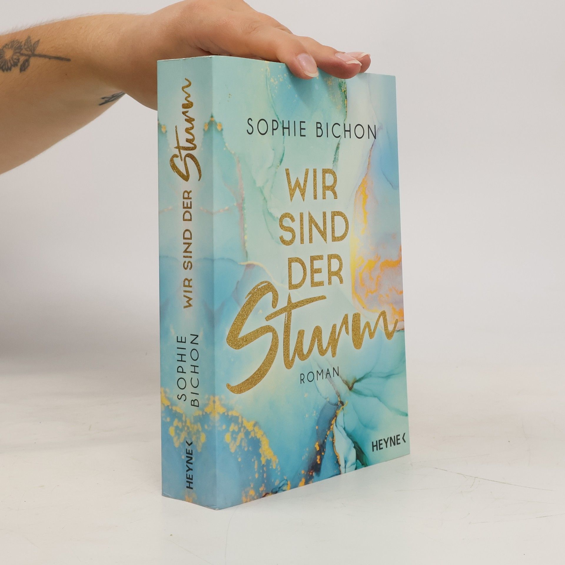 Sophie Bichon Redstone-Reihe 2. Wir sind der Sturm