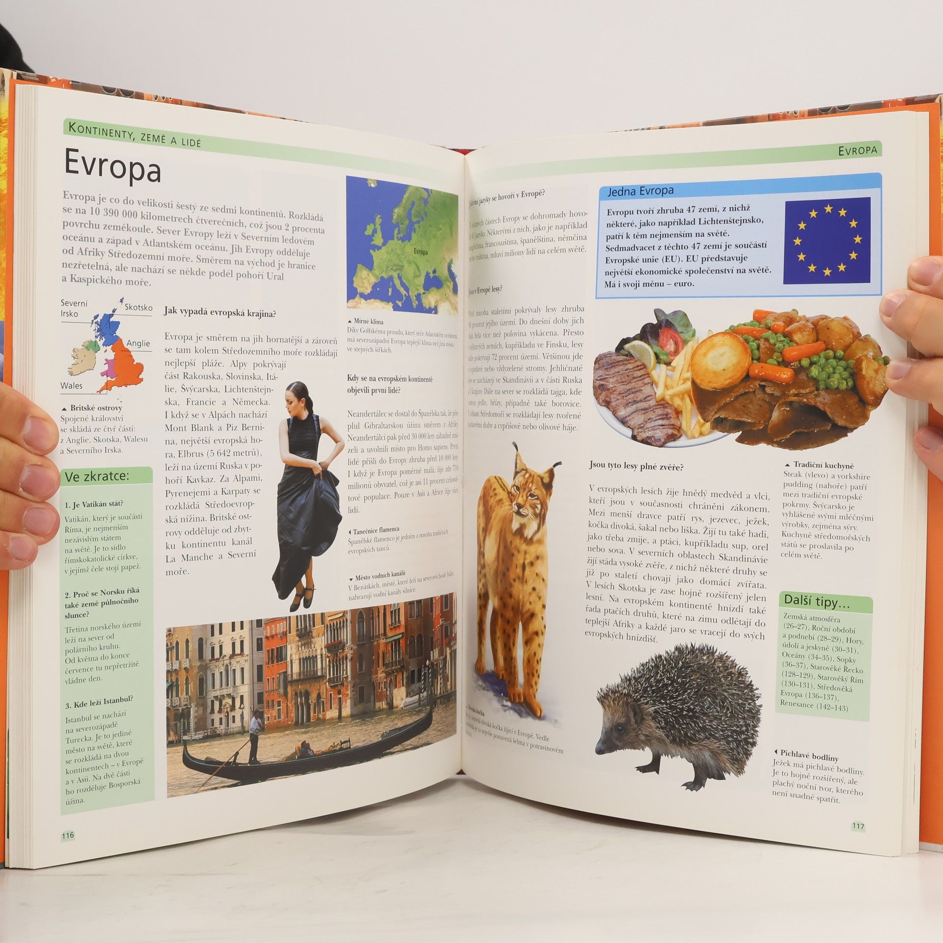 Autorenkollektiv Velká kniha otázek a odpovědí