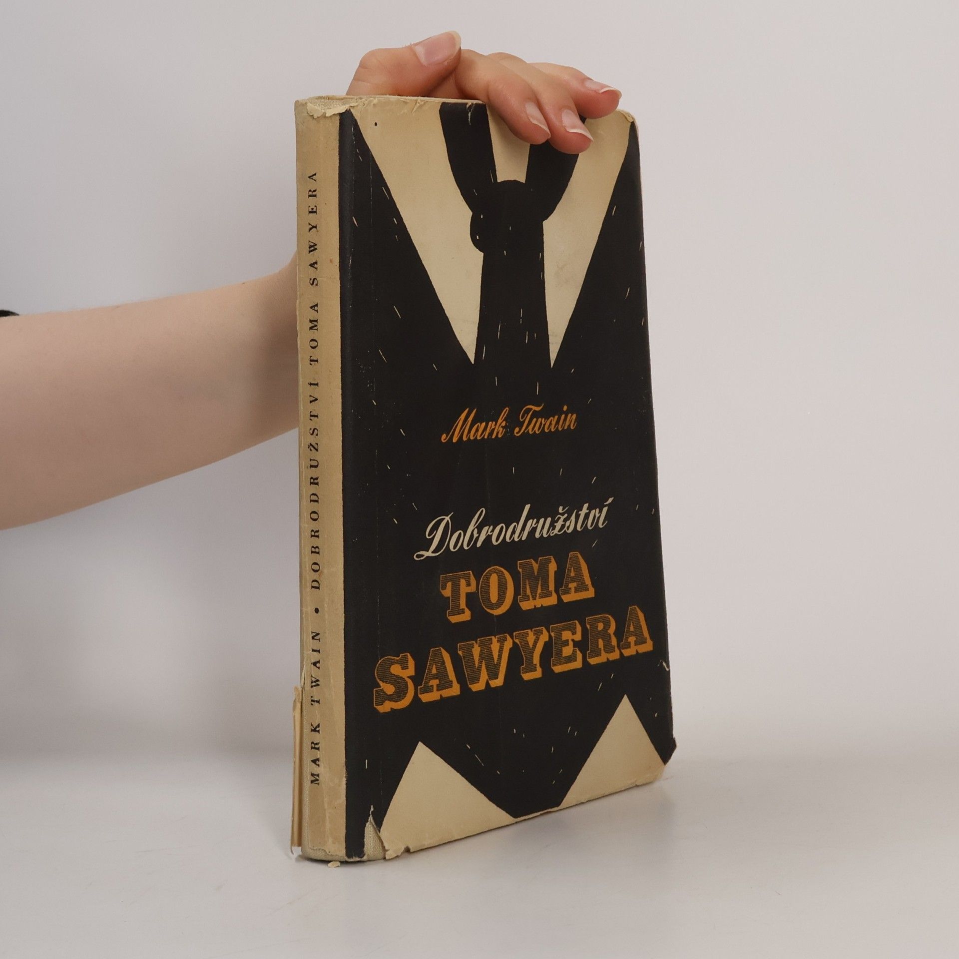Mark Twain Dobrodružství Toma Sawyera