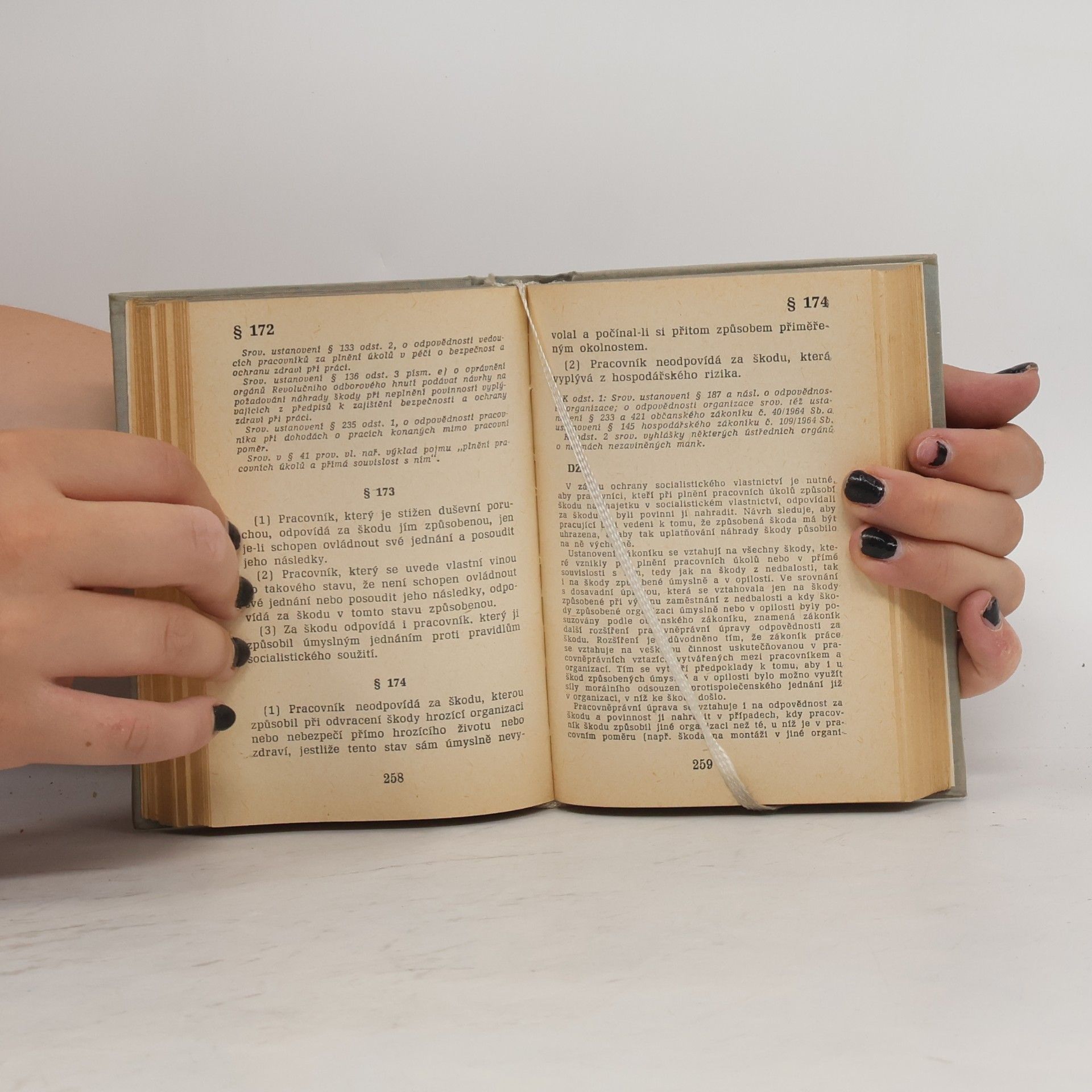 Autorenkollektiv Zákoník práce a předpisy souvisící