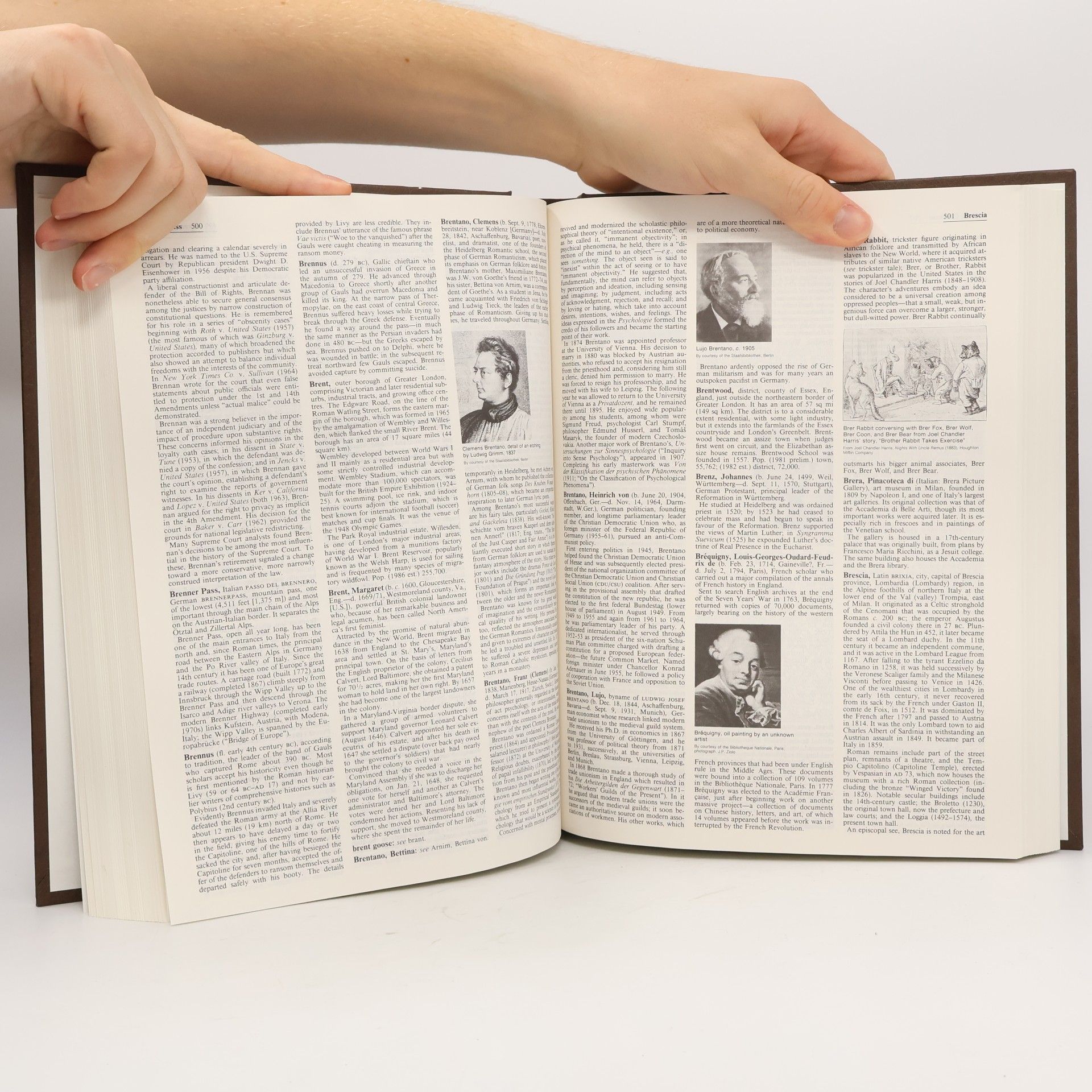 Philip W Goetz Macropædia: Knowledge in Depth - 24: Encyclopaedia Britannica, 1991 Set