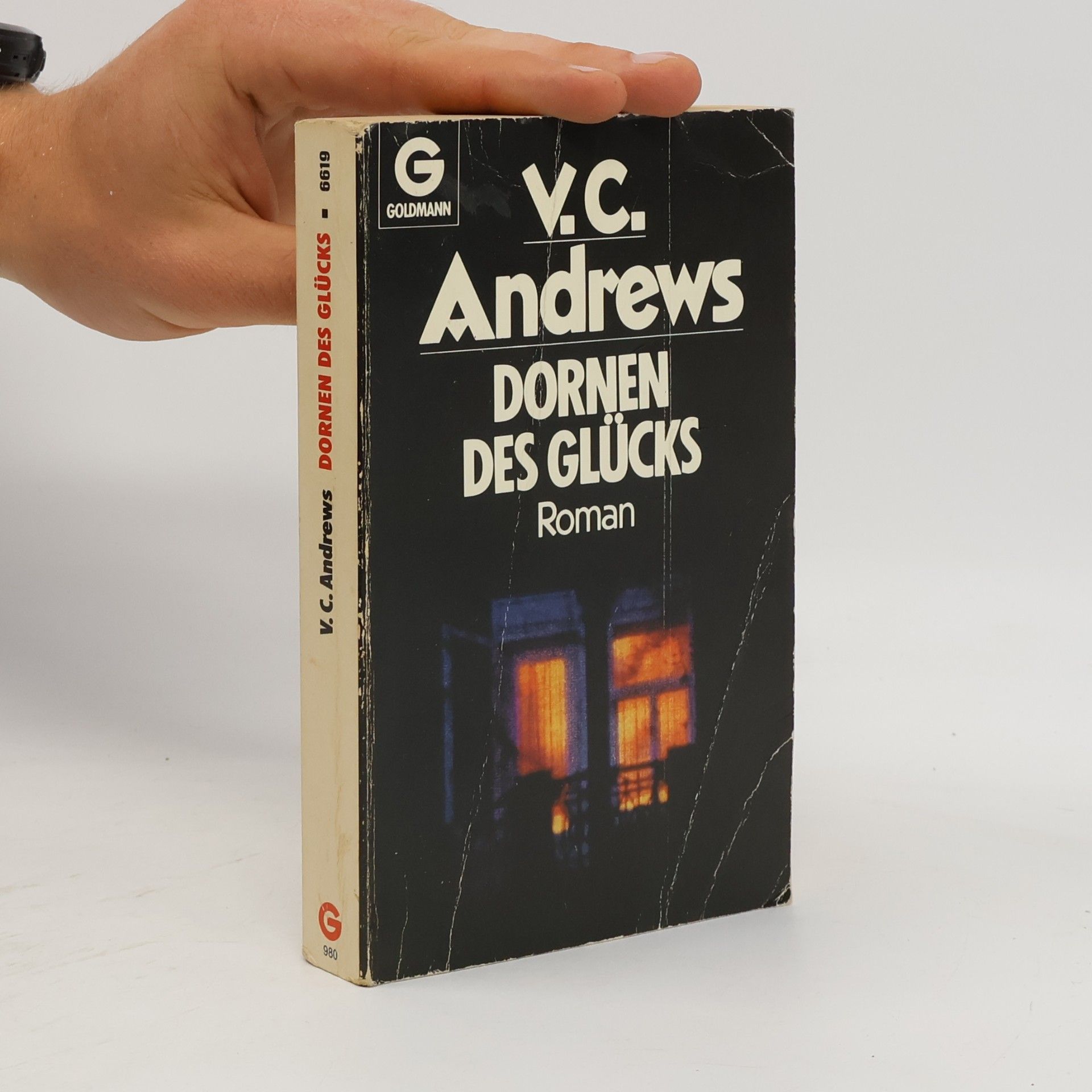 Virginia Cleo Andrews Dornen des Glücks