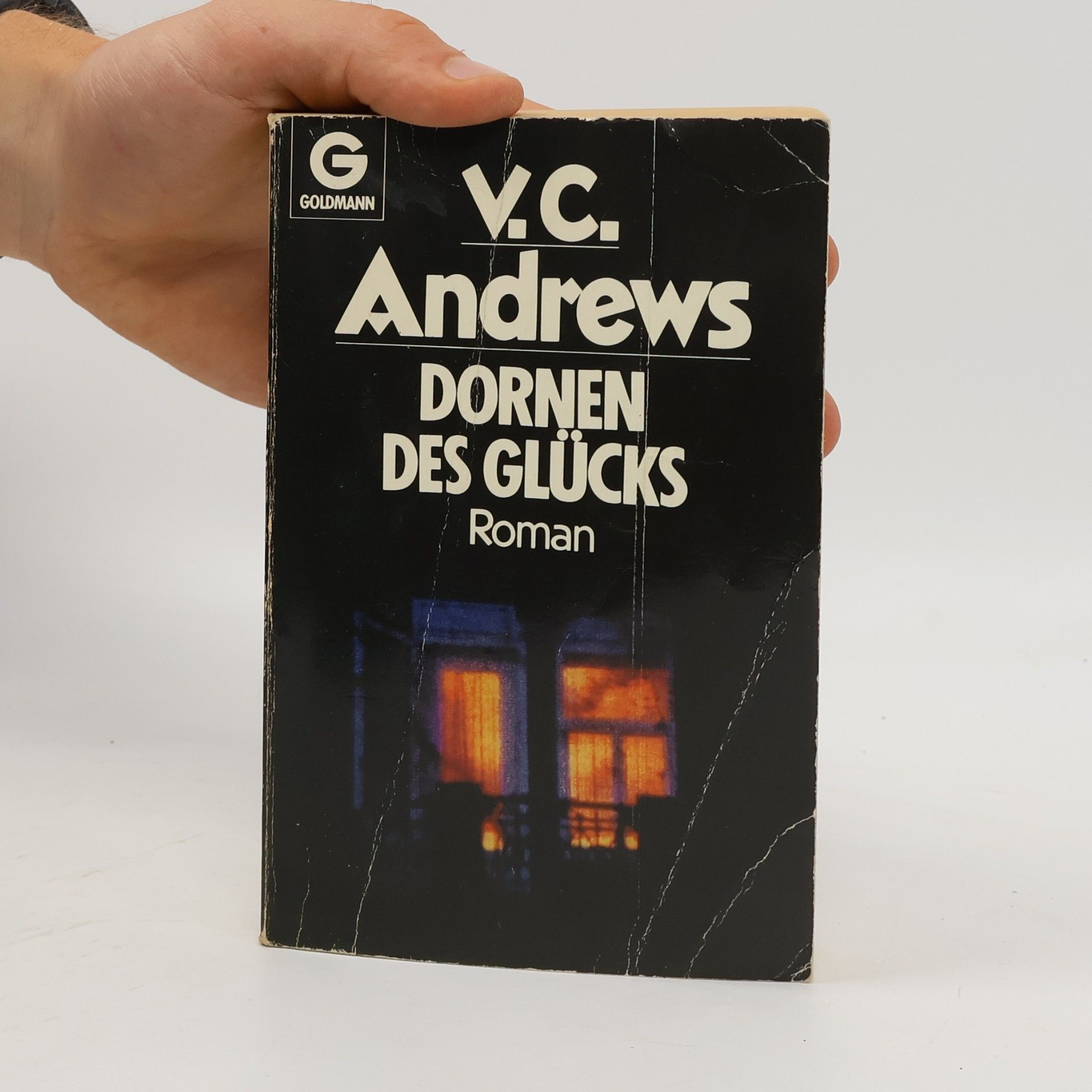 Virginia Cleo Andrews Dornen des Glücks