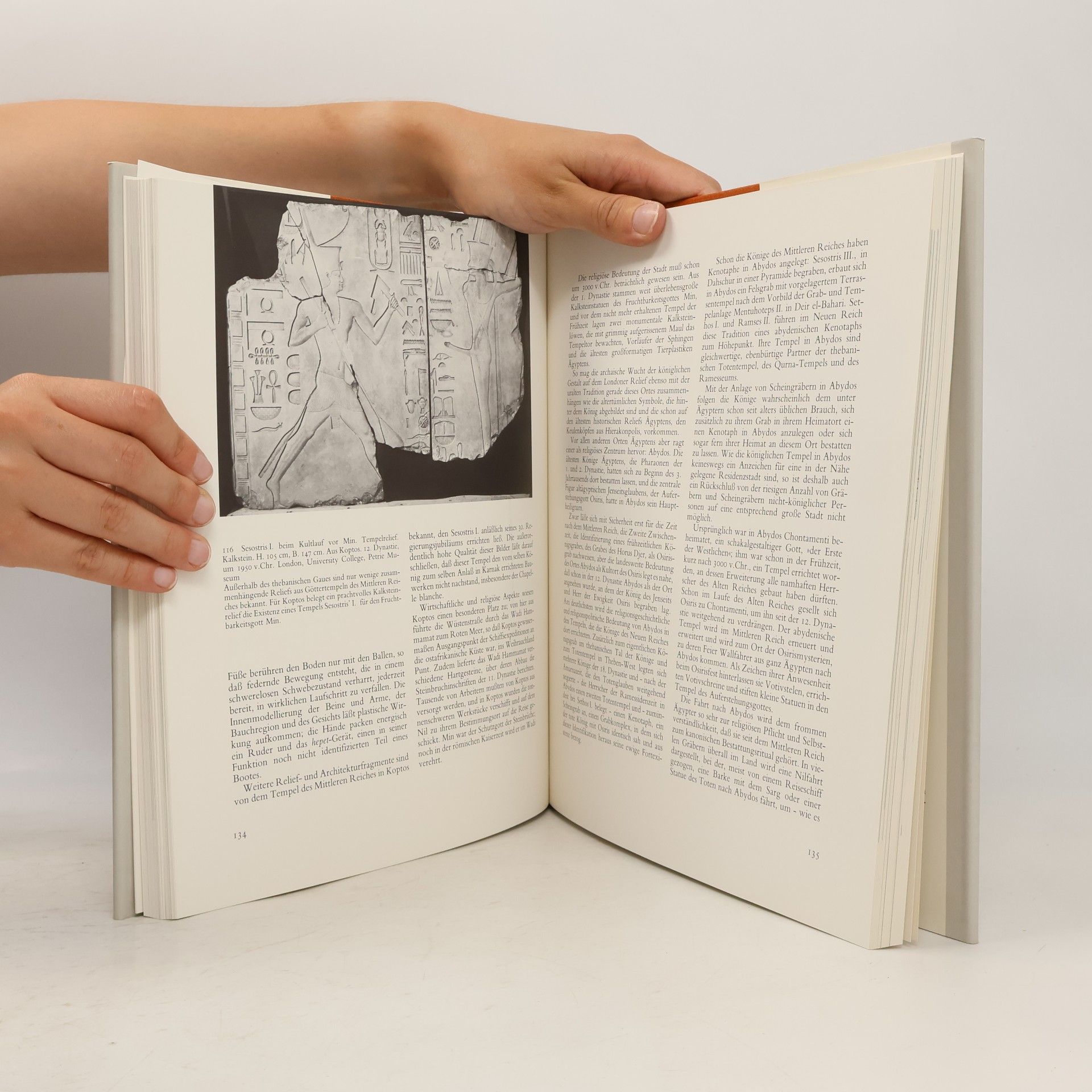 Dietrich Wildung Sesostris und Amenemhet