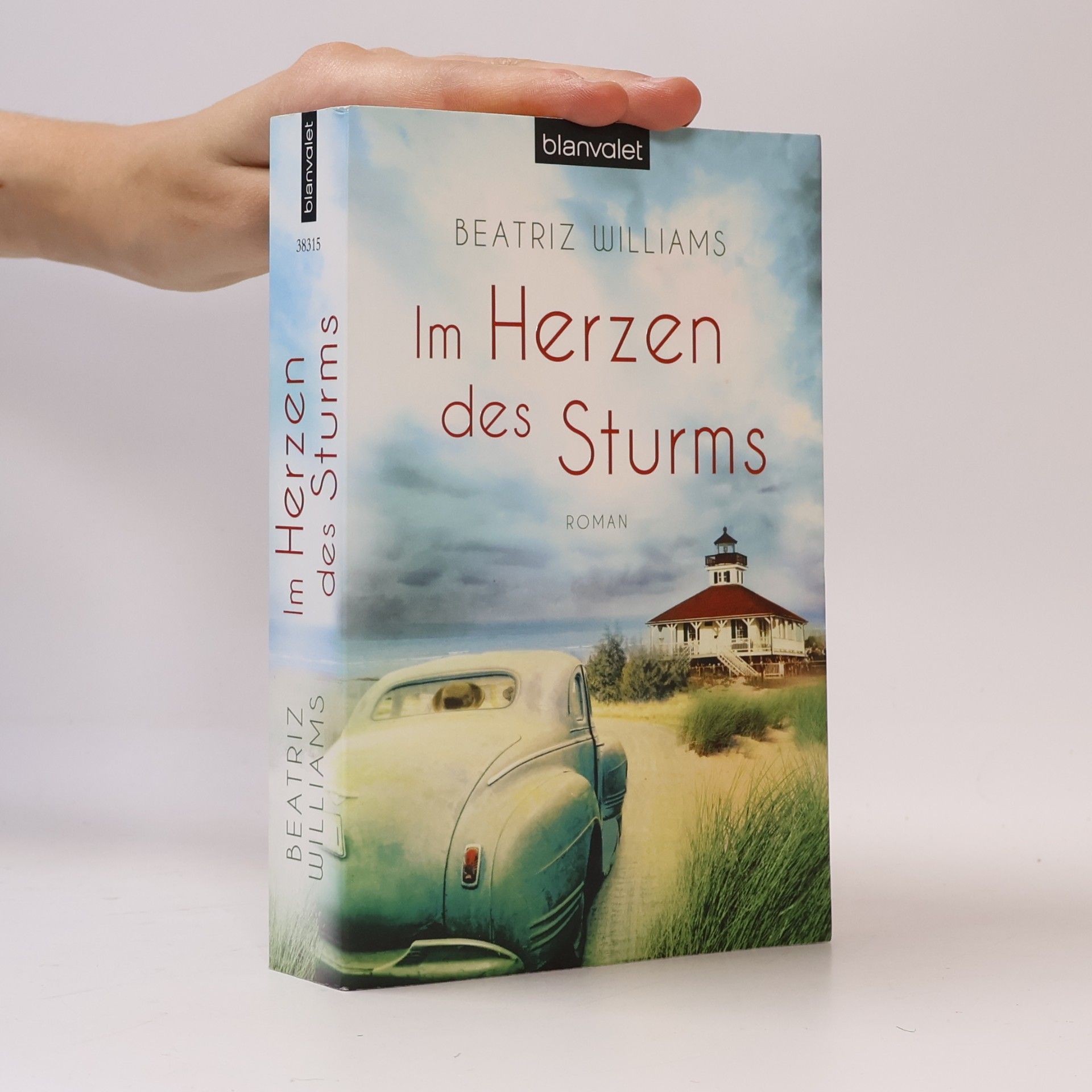Beatriz Williams Im Herzen des Sturms
