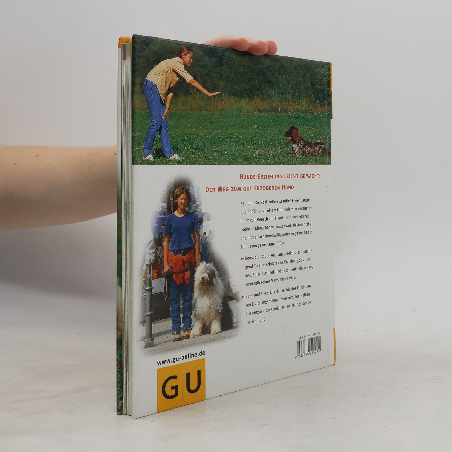 Katharina Schleg Kofler Hundeschule für jeden Tag