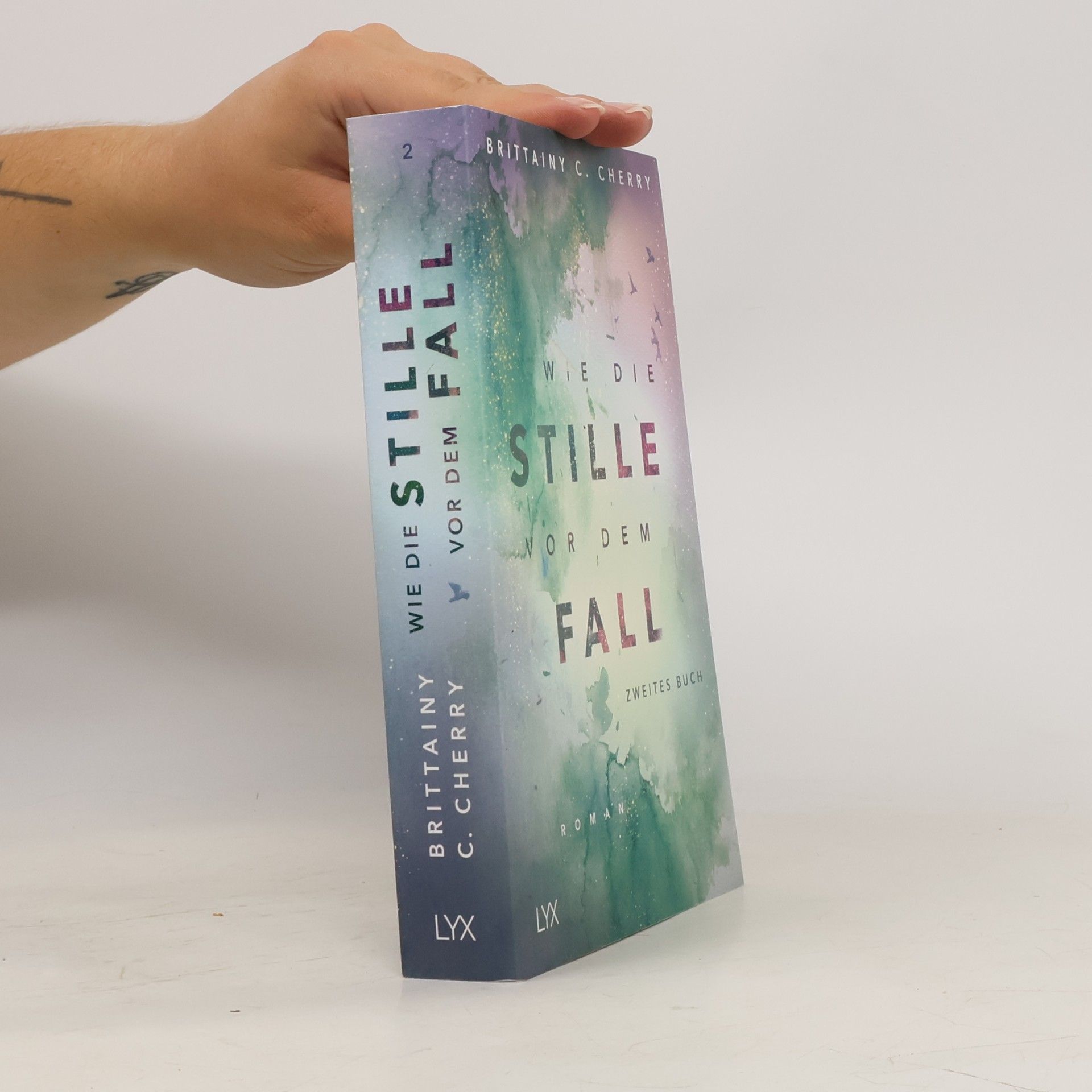 Brittainy C. Cherry Wie die Stille vor dem Fall 2