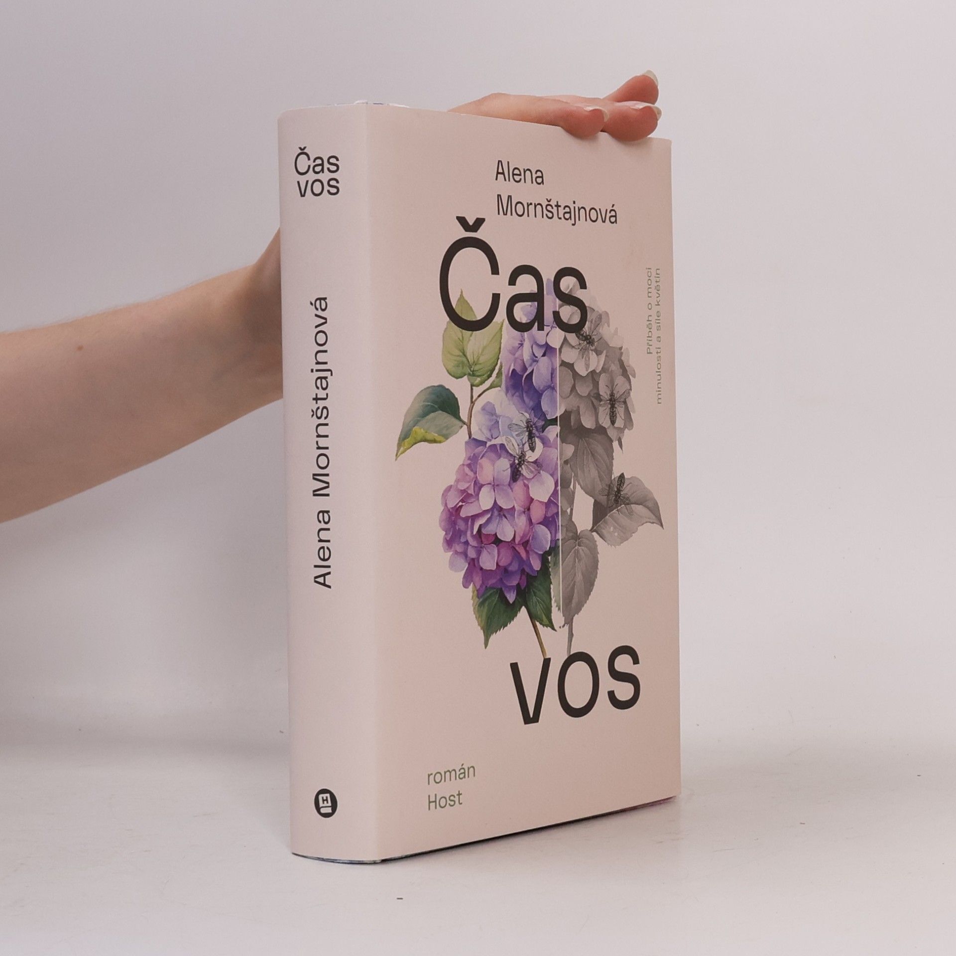 Alena Mornštajnová Čas vos
