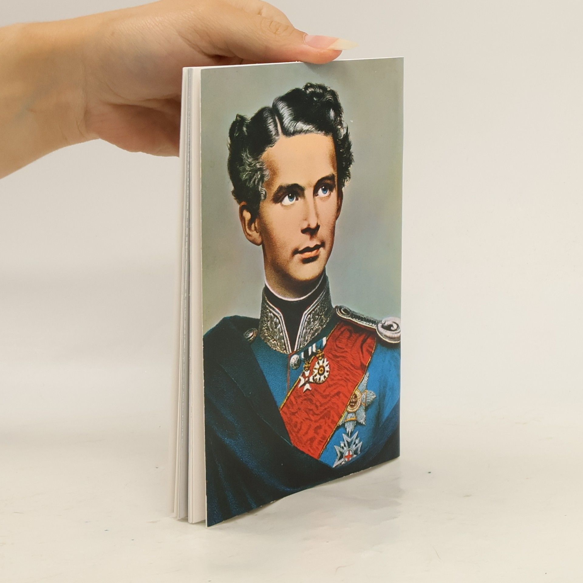 Julius Desing König Ludwig II. Sein Leben sein Ende