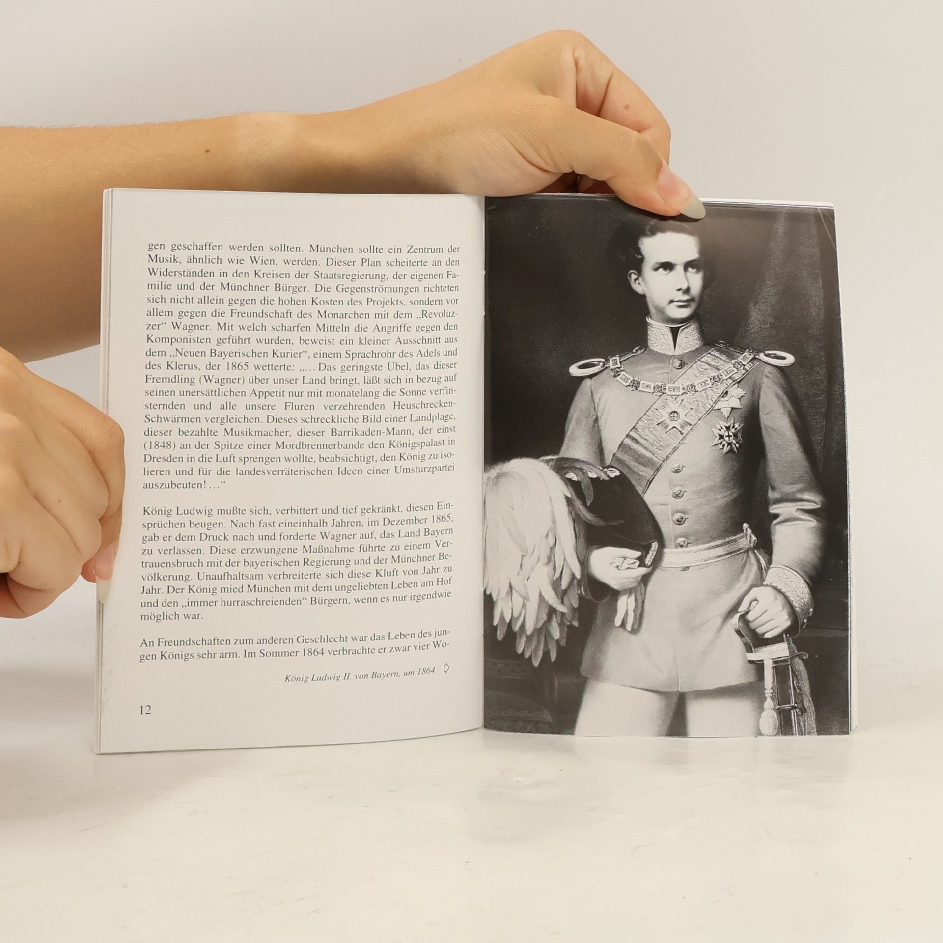 Julius Desing König Ludwig II. Sein Leben sein Ende