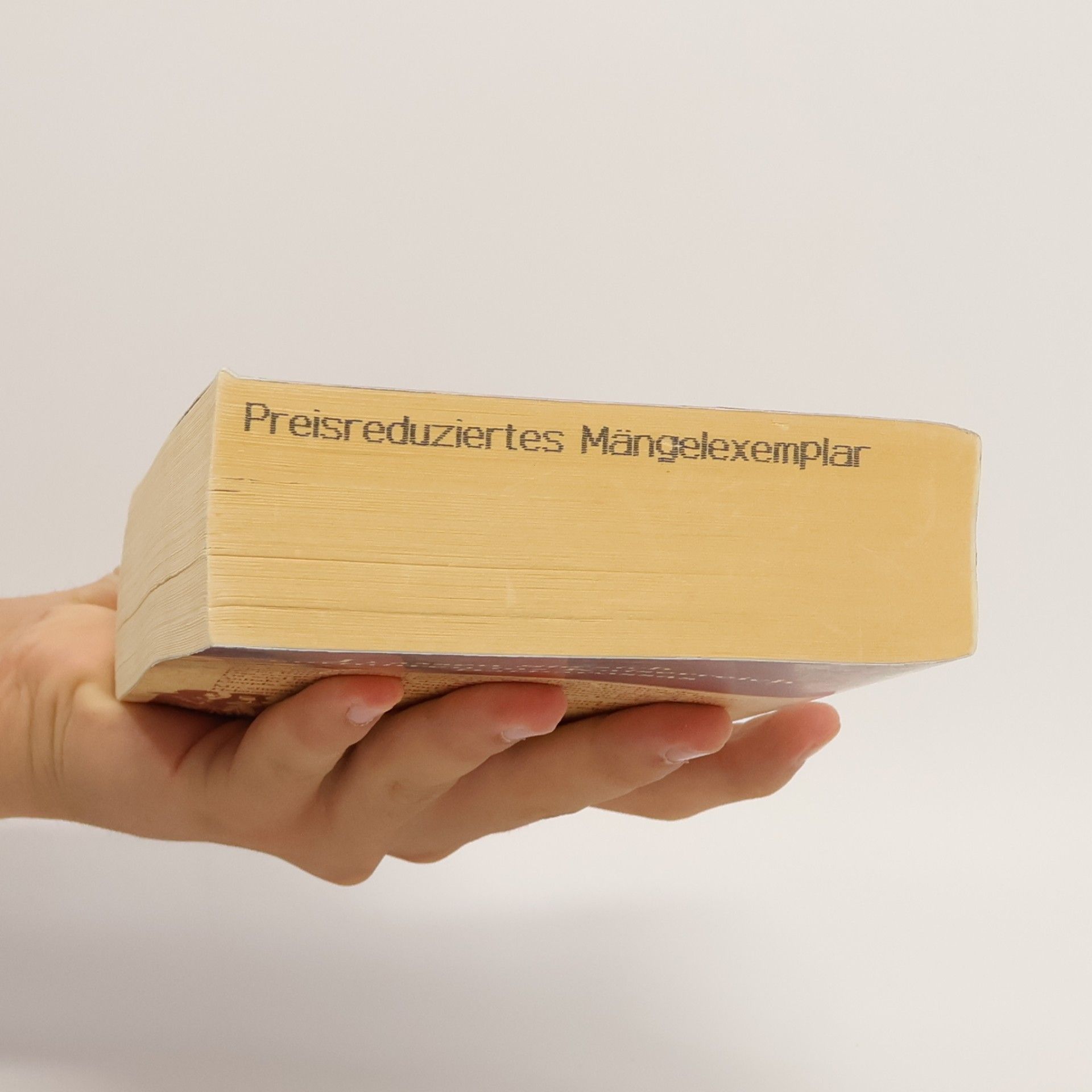 Sabine Ebertová Das Geheimnis der Hebamme