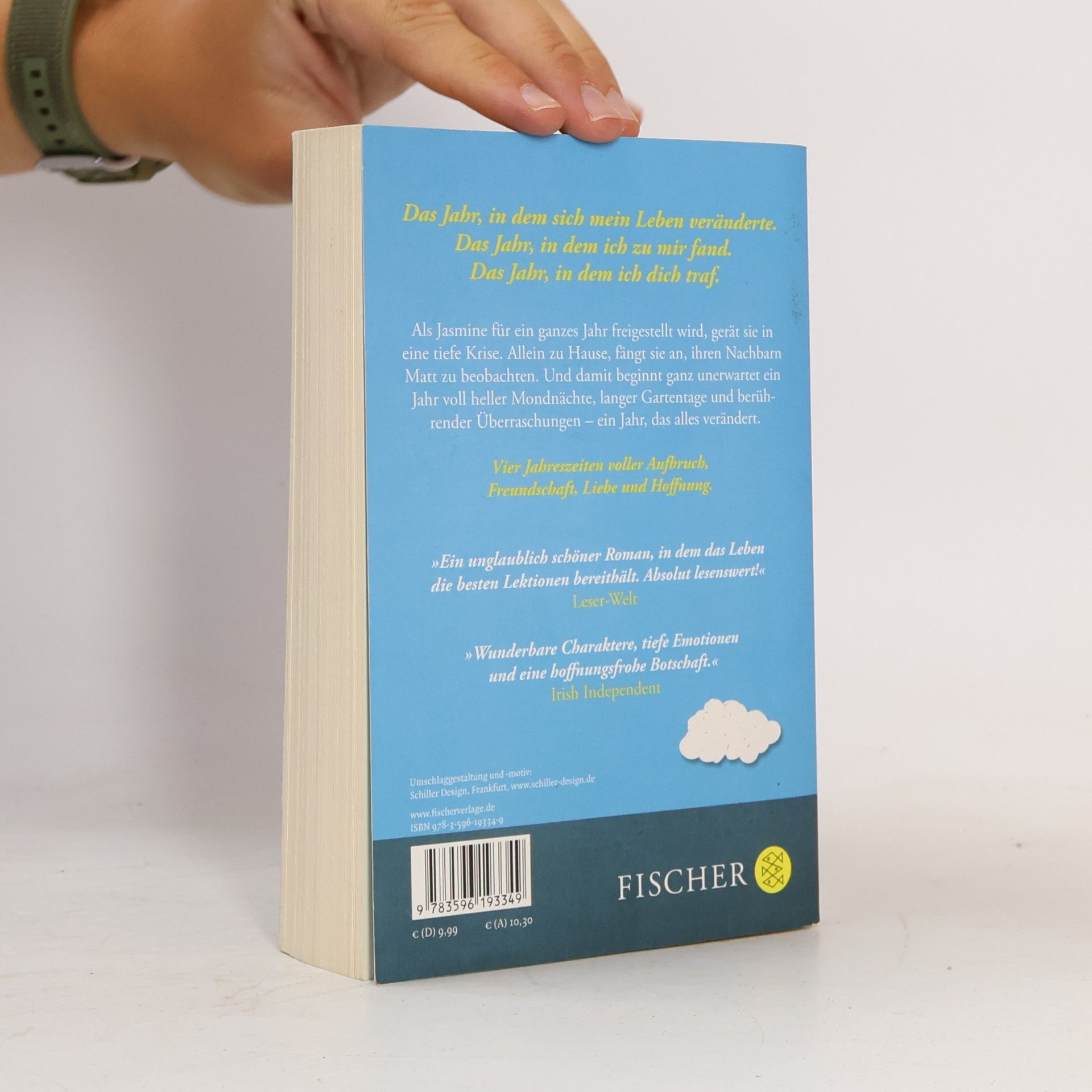 Cecelia Ahern Das Jahr, in dem ich dich traf