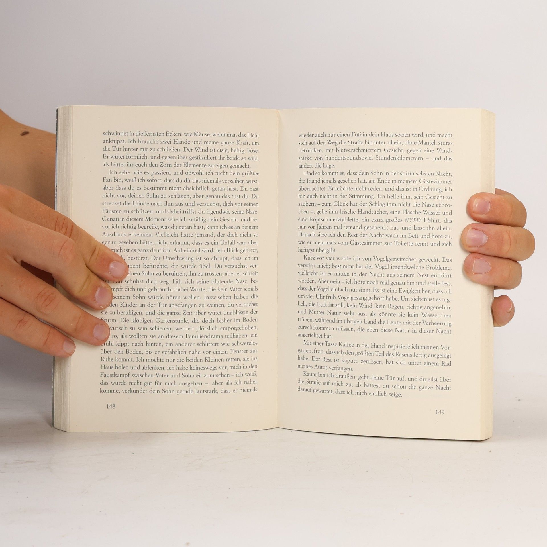 Cecelia Ahern Das Jahr, in dem ich dich traf