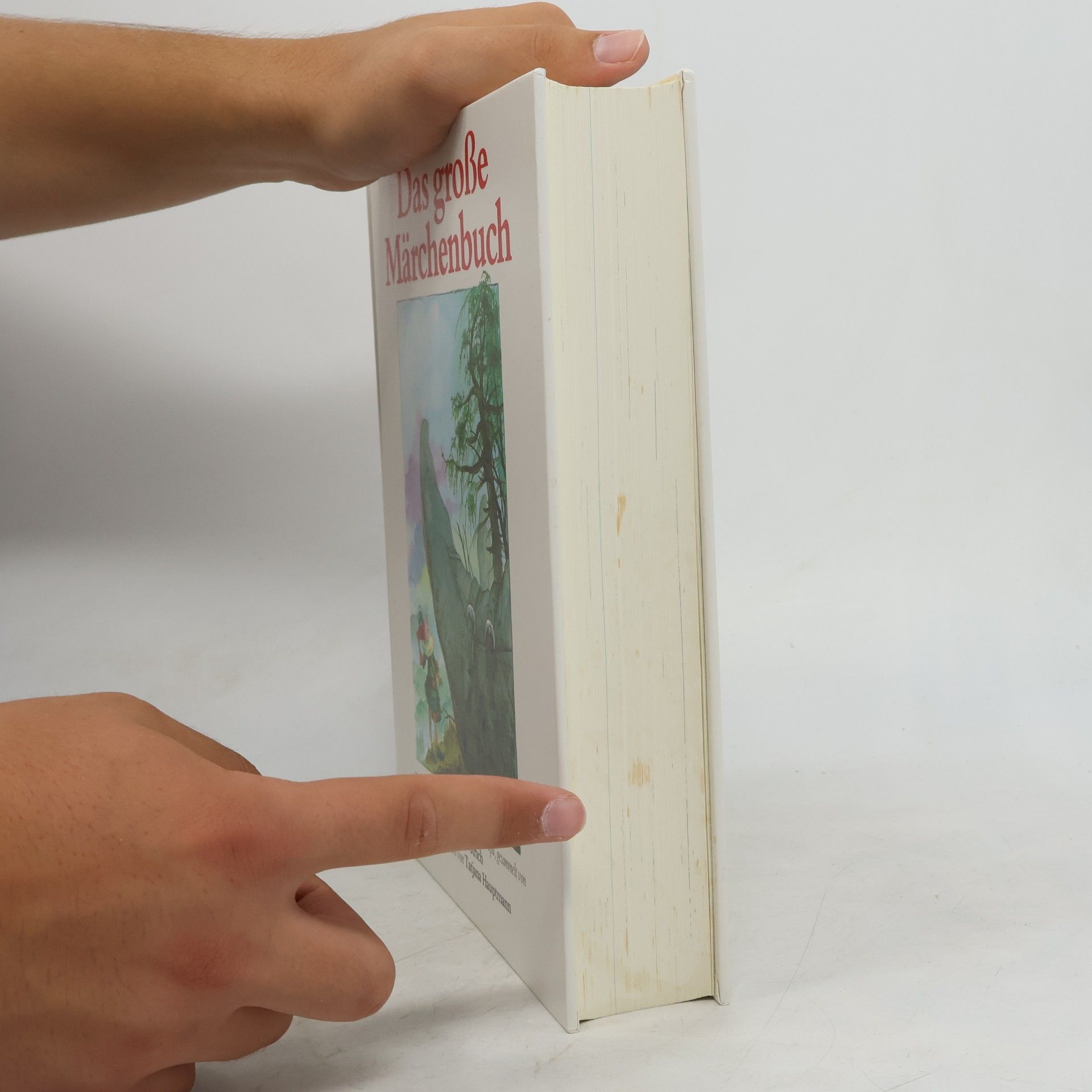 Tatjana Hauptmann Das große Märchenbuch