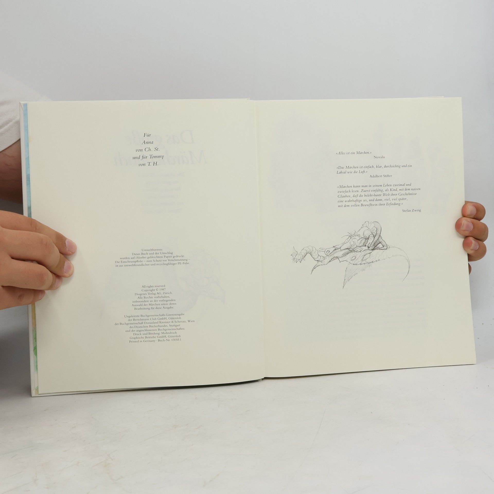 Tatjana Hauptmann Das große Märchenbuch