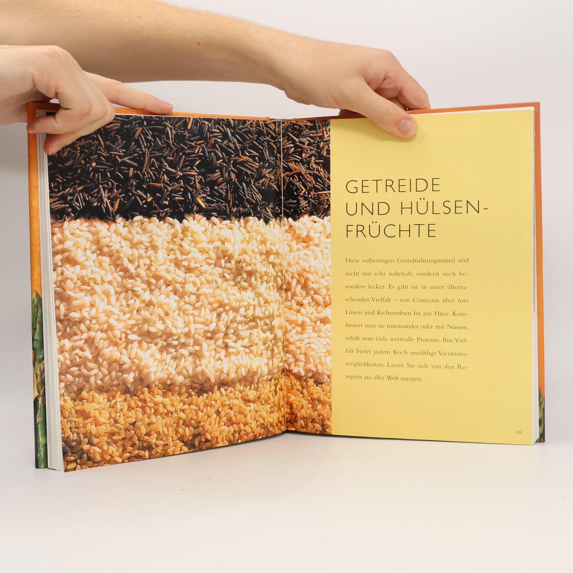 Wendy Stephen Das grosse Buch der vegetarischen Küche