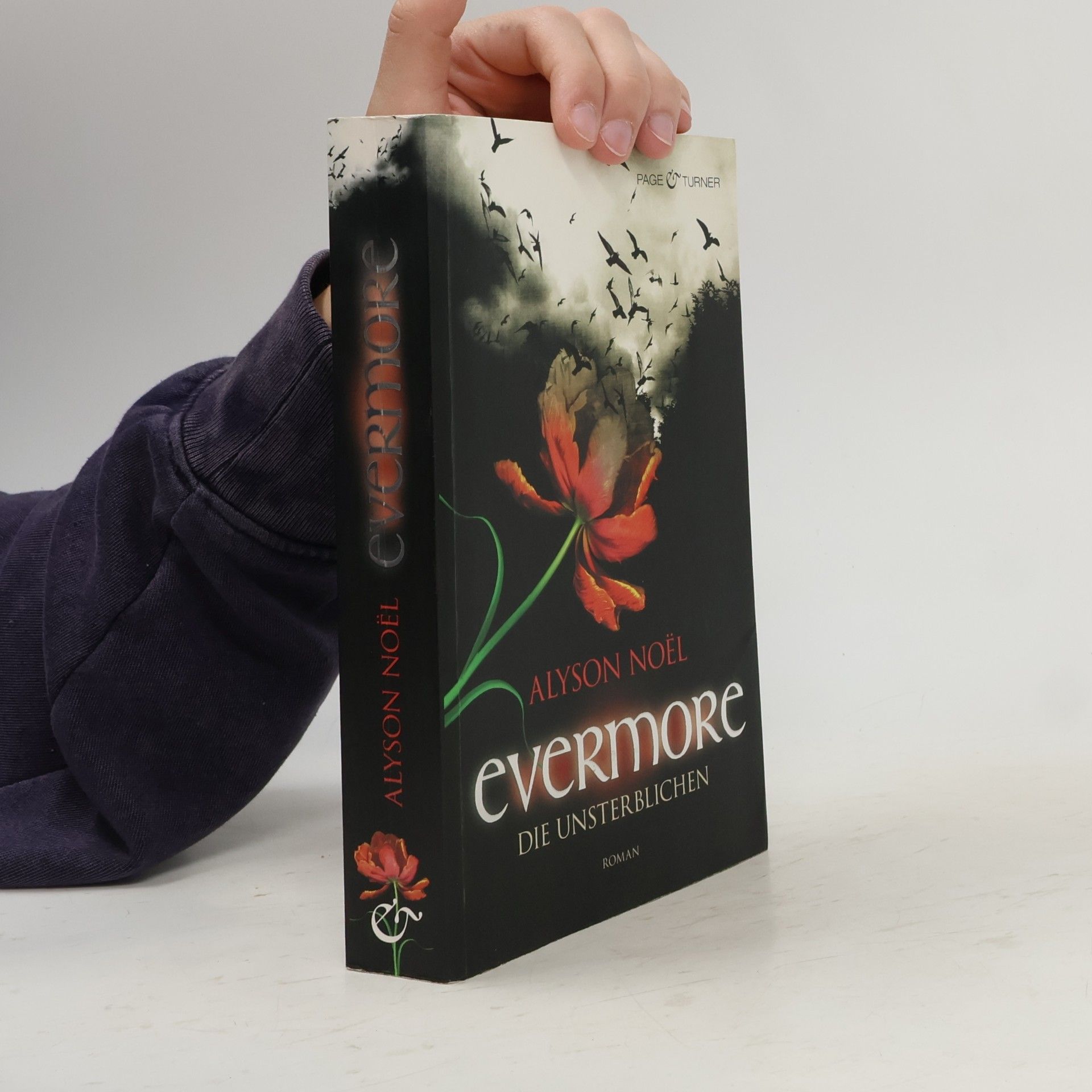 Alyson Noël Evermore 1