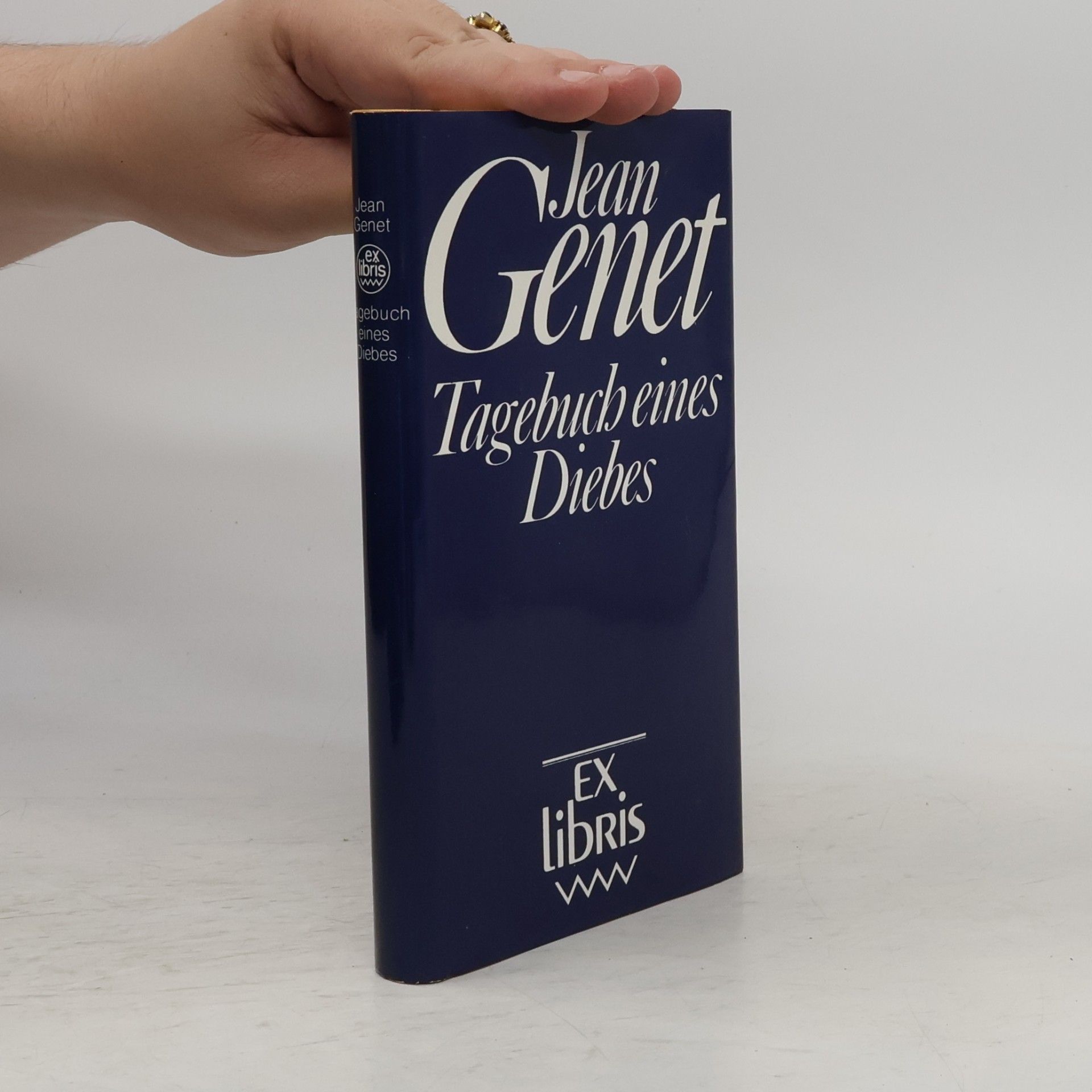 Jean Genet Tagebuch eines Diebes