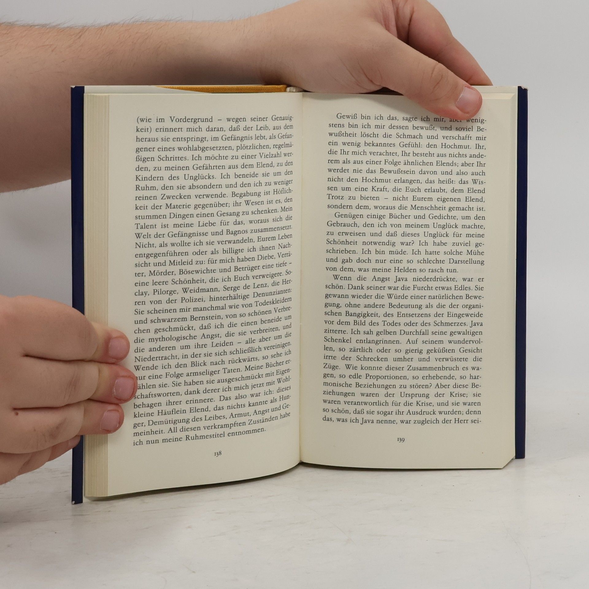 Jean Genet Tagebuch eines Diebes