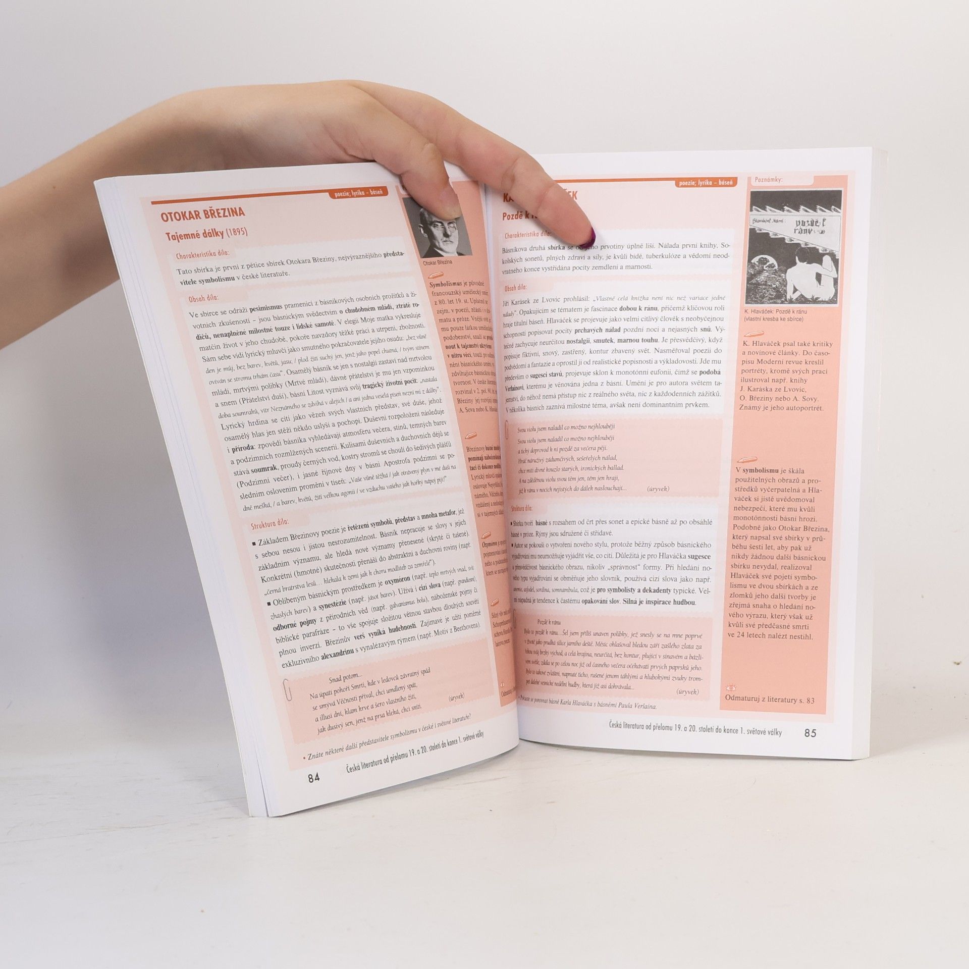Iveta Havlíčková Odmaturuj! z literatury 2