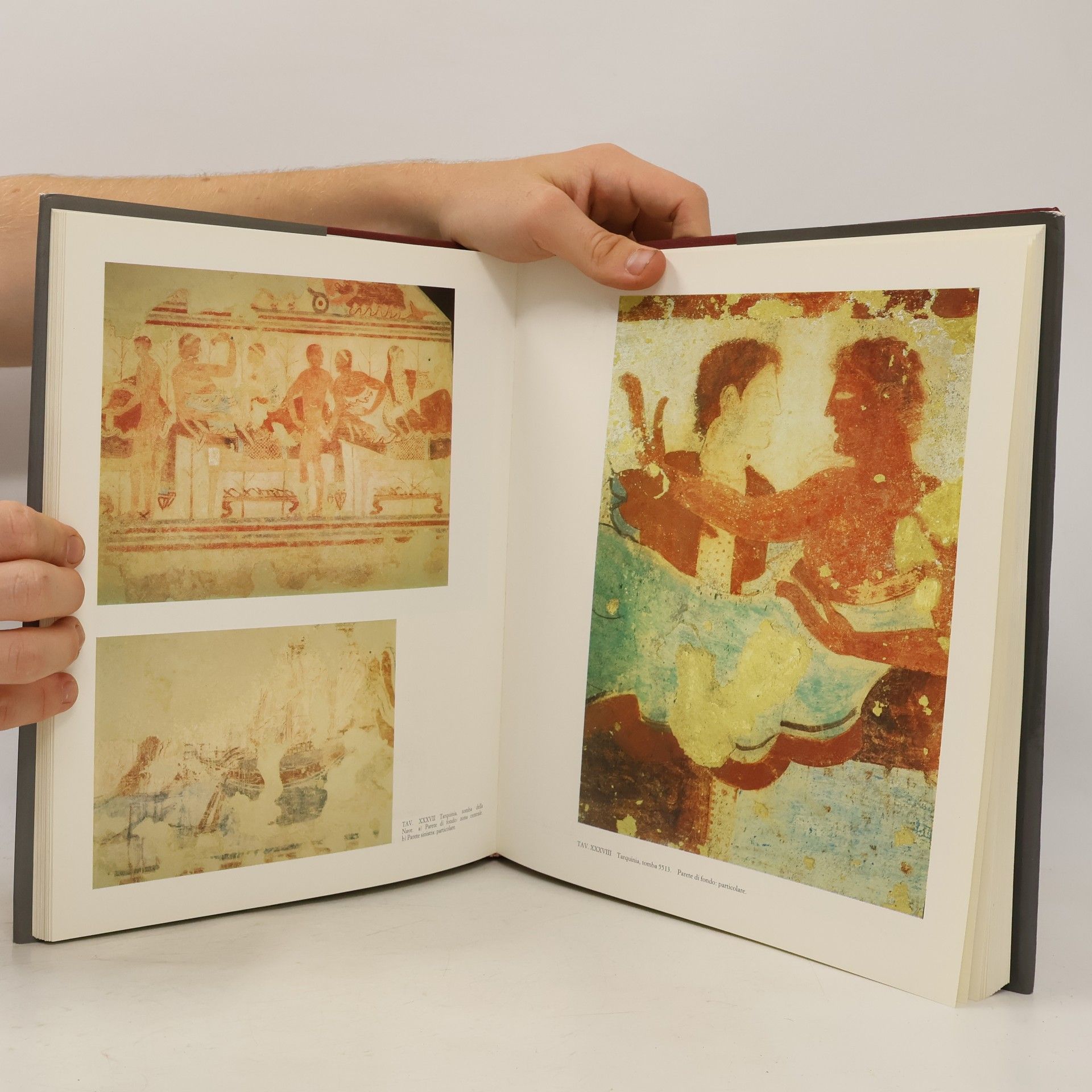 M. Antonietta Rizzo Studi di archeologia: Pittura Etrusca al Museo di Villa Giulia. Ediz. illustrata