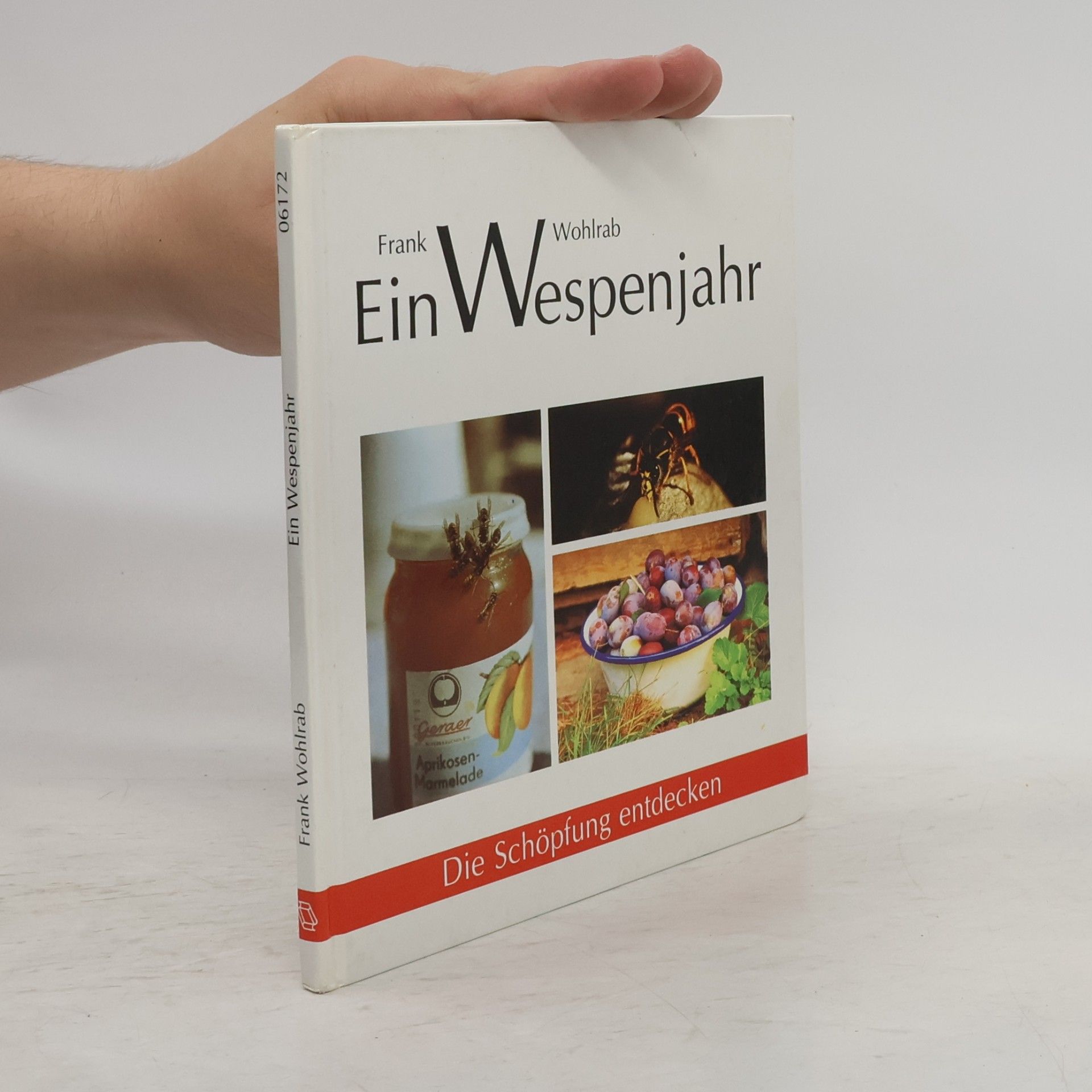 Frank Wohlrab Ein Wespenjahr