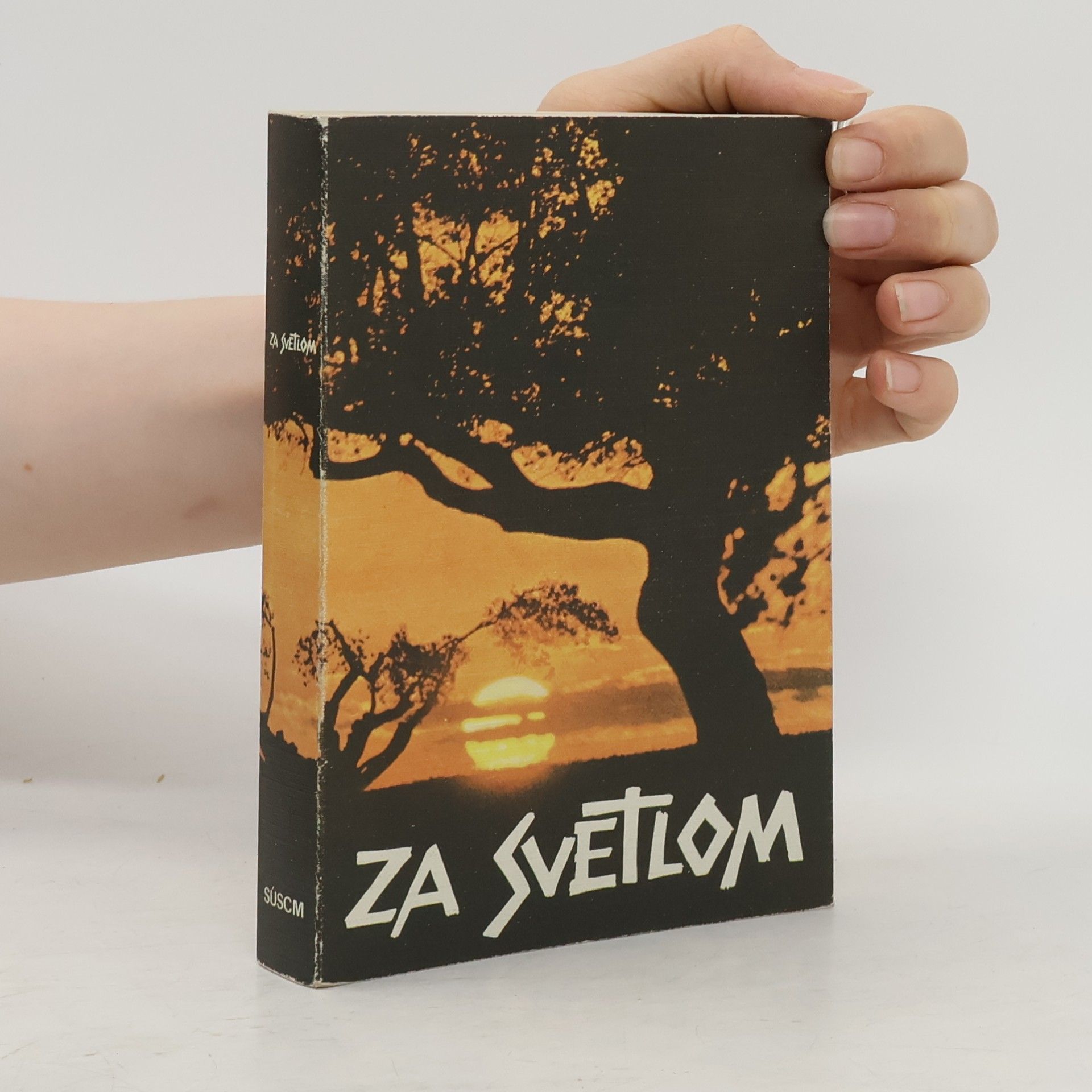 Za svetlom. Dejiny spásy v Starom zákone