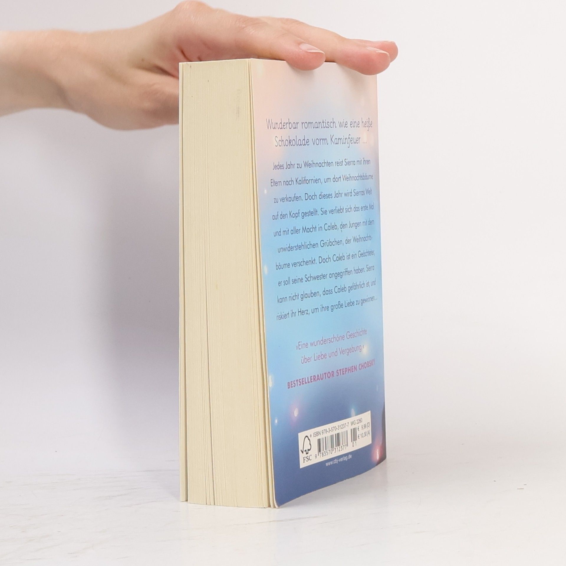 Jay Asher Dein leuchten