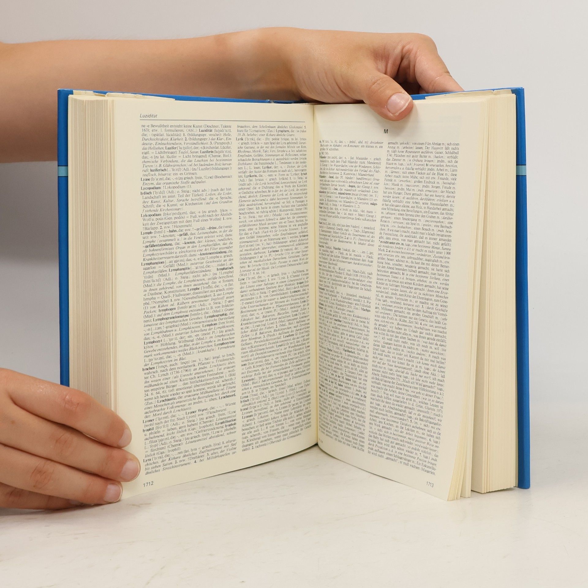 Günther Drosdowski Duden Das Große Wörterbuch Der Deutschen Sprache 4 (Kam-N)