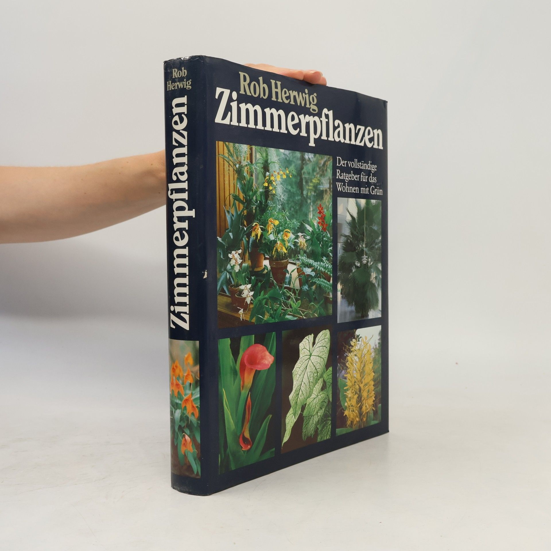 Rob Hewig Zimmerpflanzen