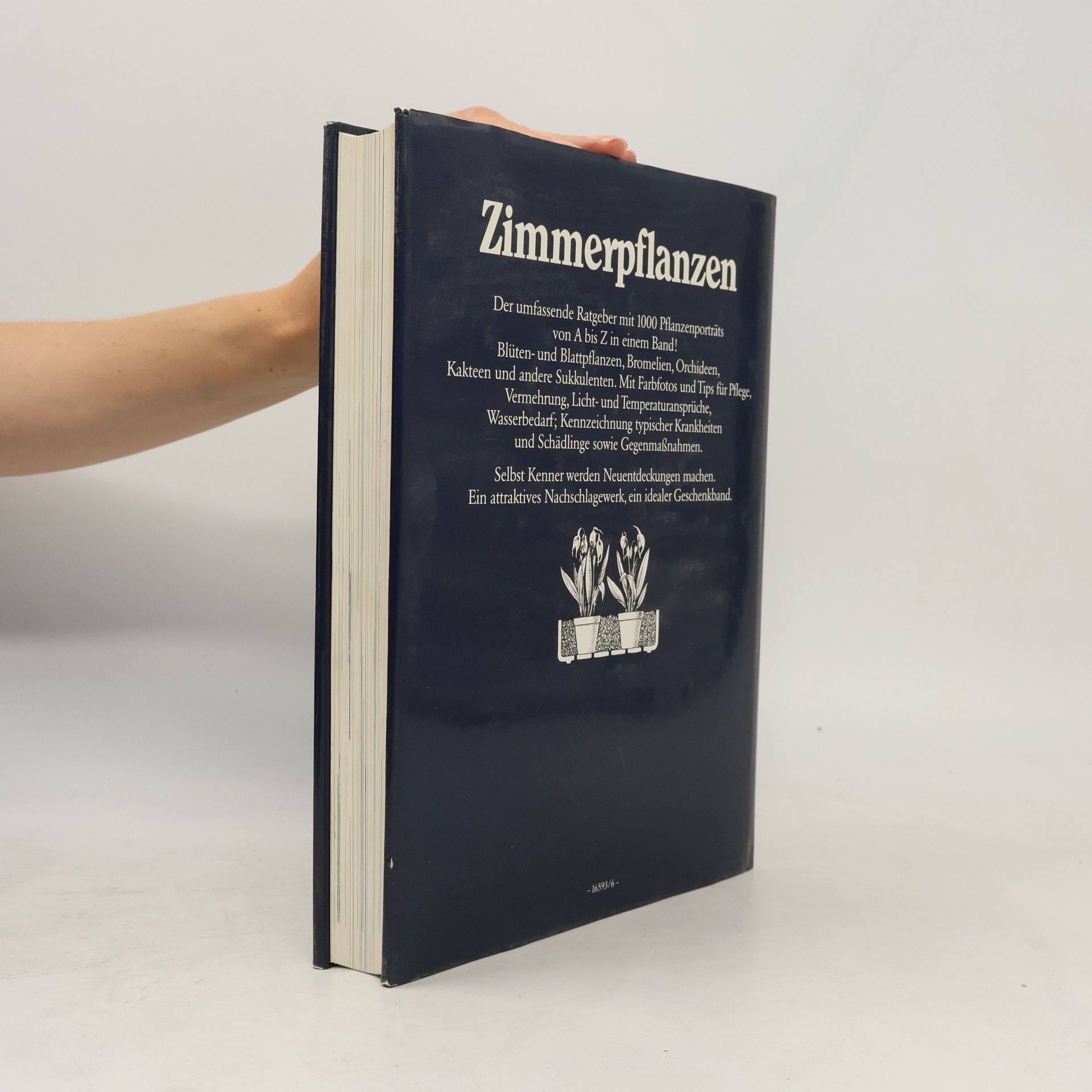Rob Herwig Zimmerpflanzen