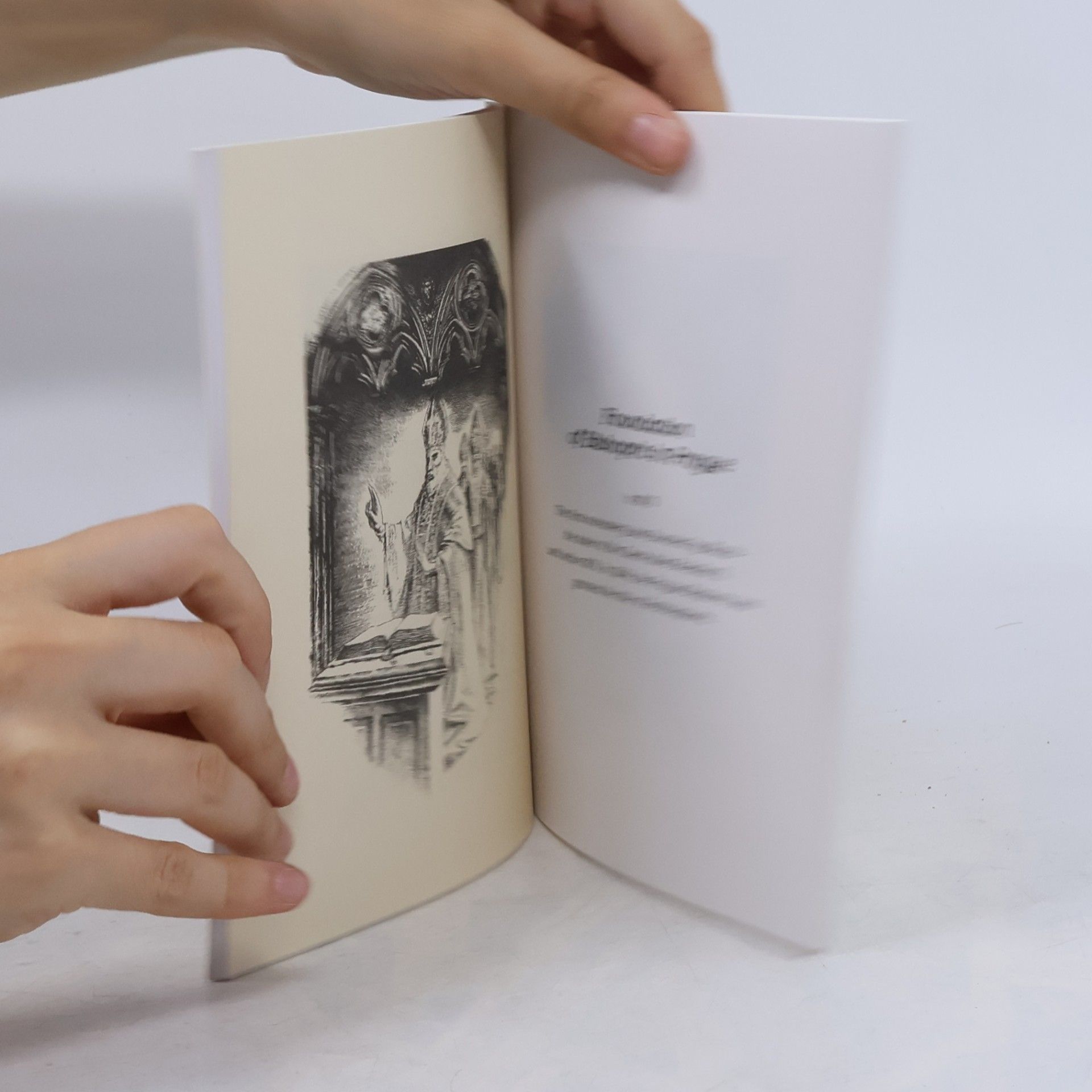 Mary R. Anderson The stones of Prague. History, pattern and memory