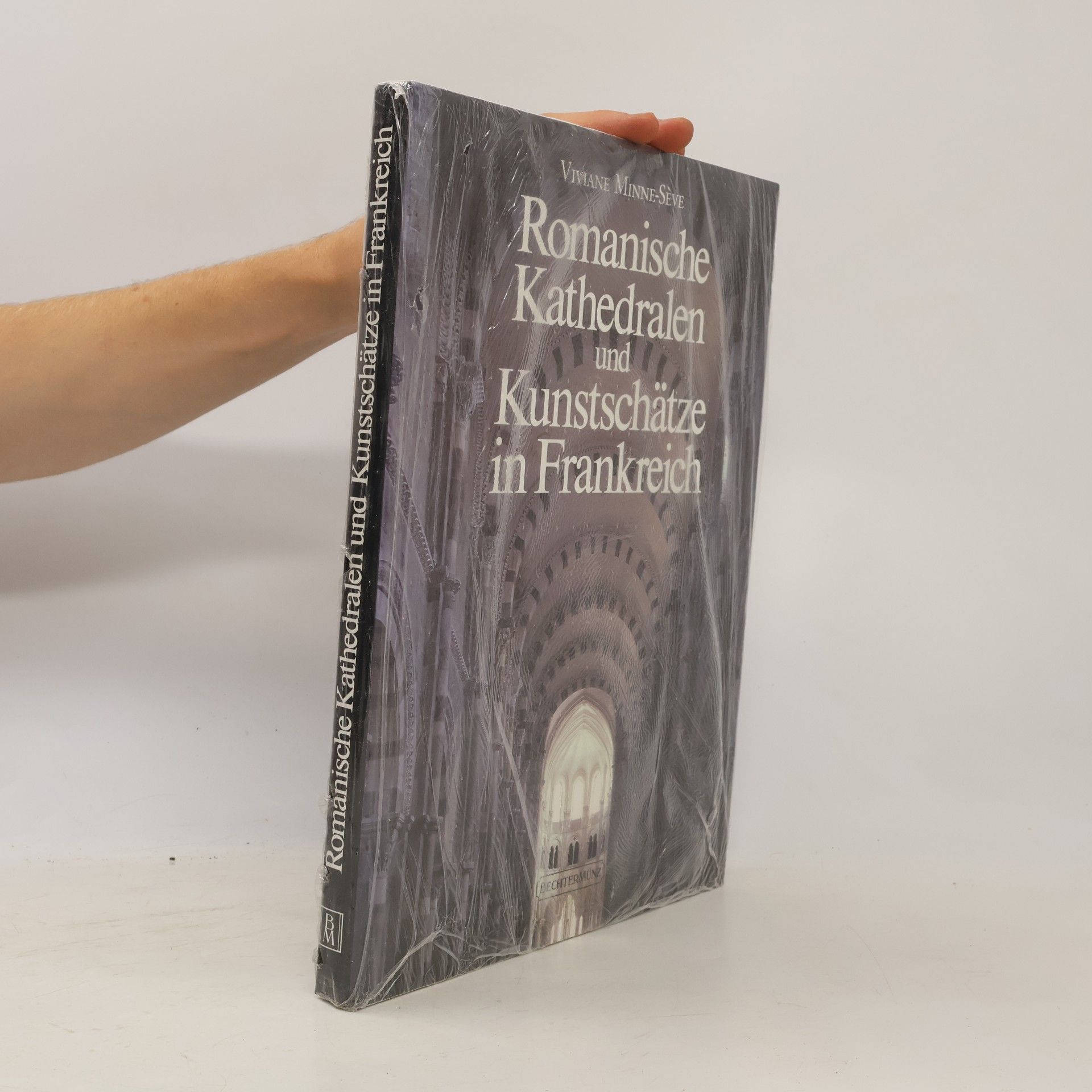 Romanische Kathedralen und Kunstschätze in Frankreich