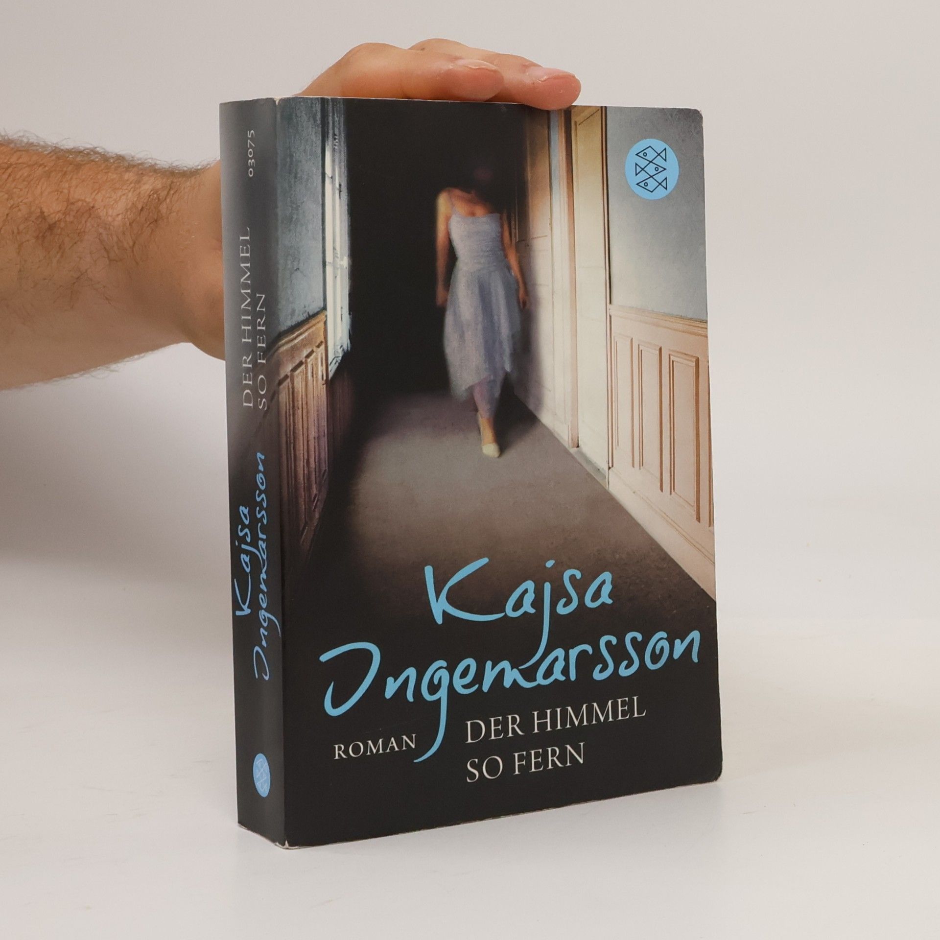 Kajsa Ingemarsson Der Himmelso fern