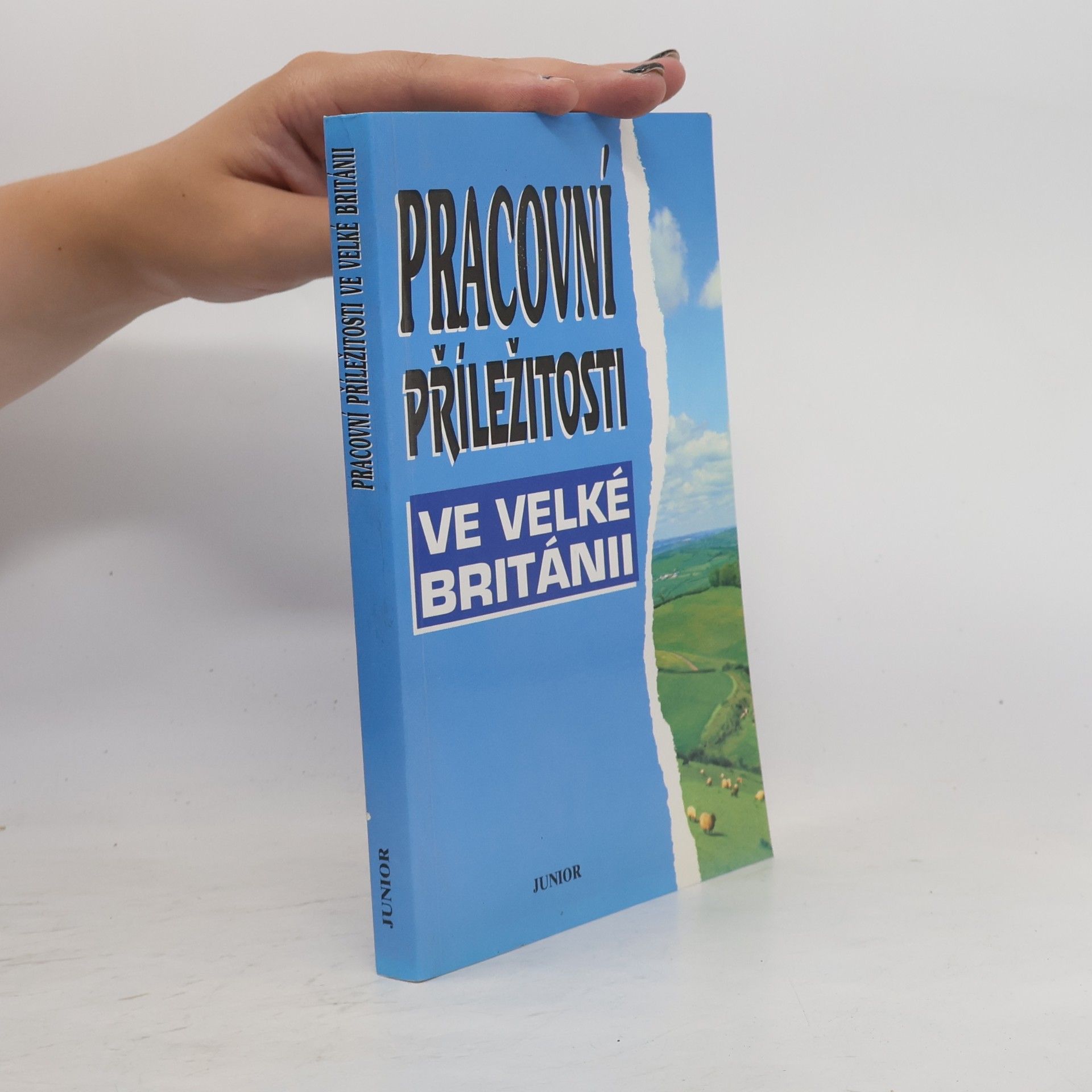 Autorenkollektiv Pracovní příležitosti ve Velké Británii
