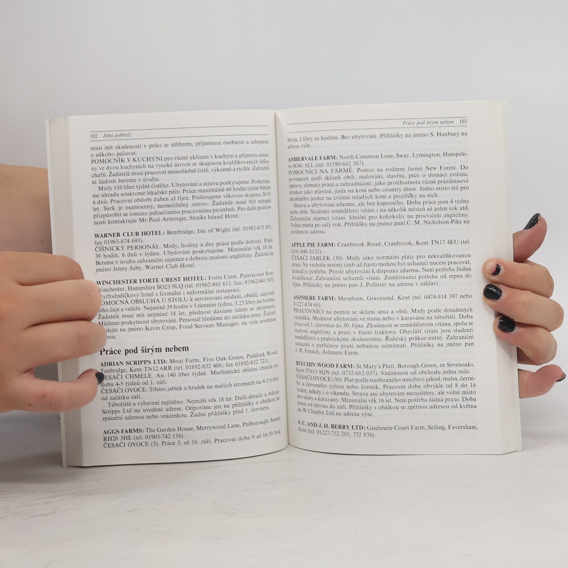 Various authors Pracovní příležitosti ve Velké Británii