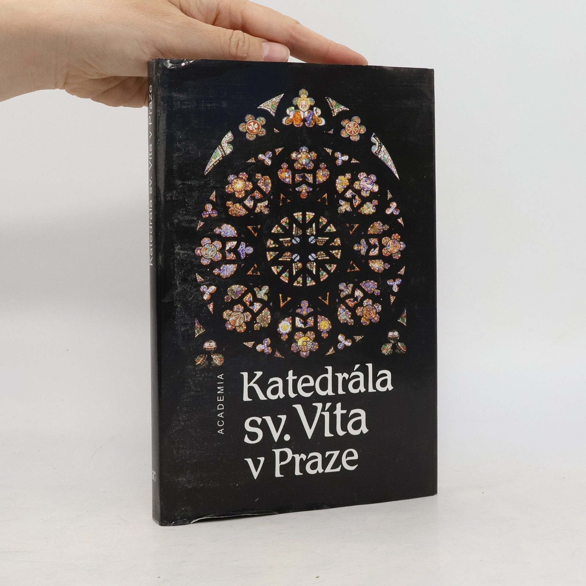 Prokop Paul Katedrála sv. Víta v Praze. K 650. výročí založení