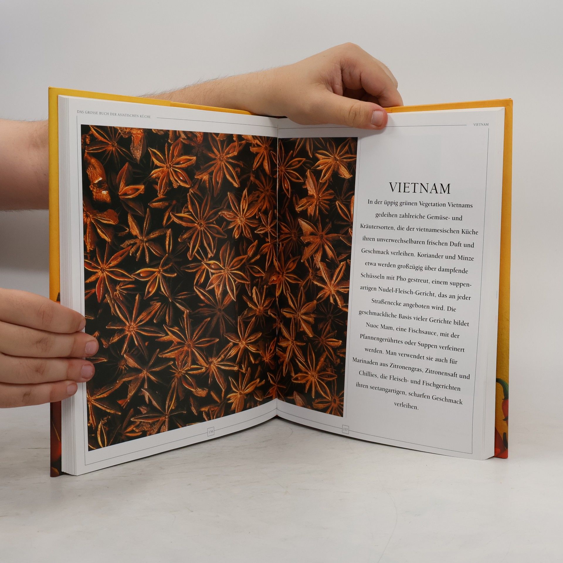 AA.VV. Das Grosse Buch der Asiatischen Küche