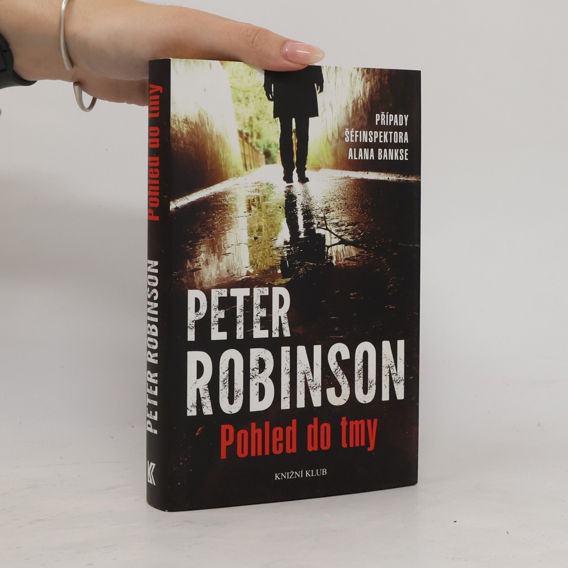 Peter Robinson Pohled do tmy