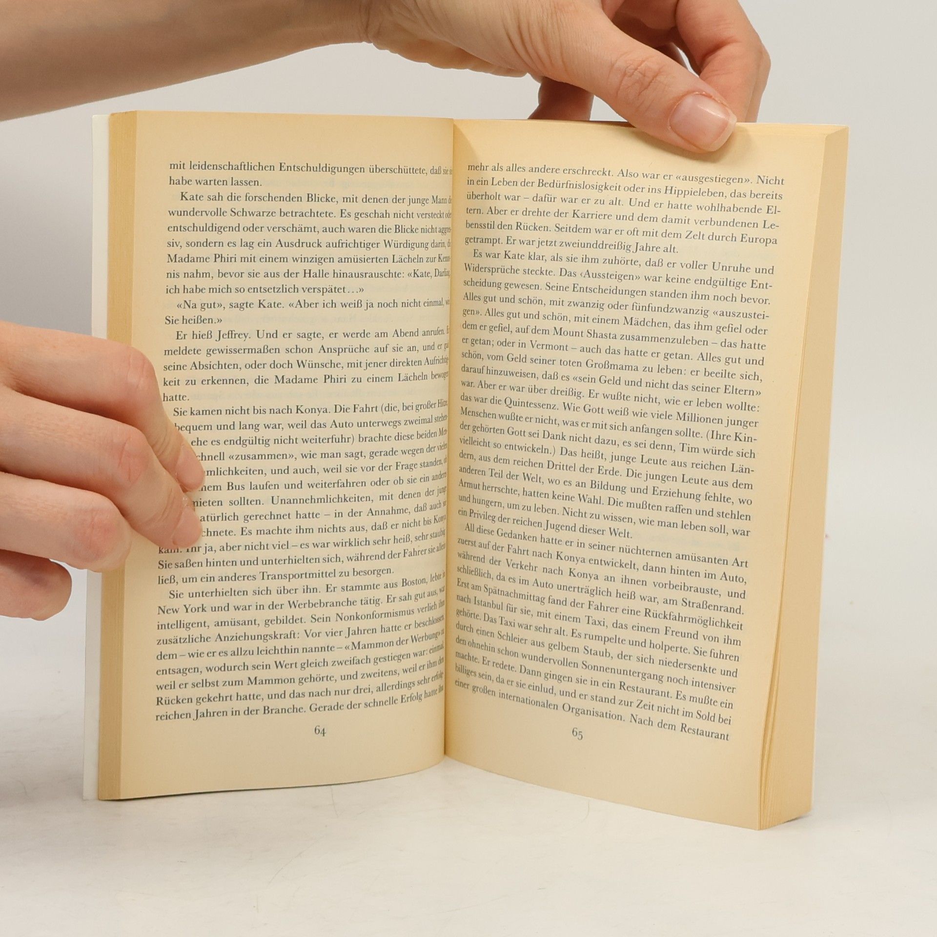 Doris Lessing Der Sommer vor der Dunkelheit