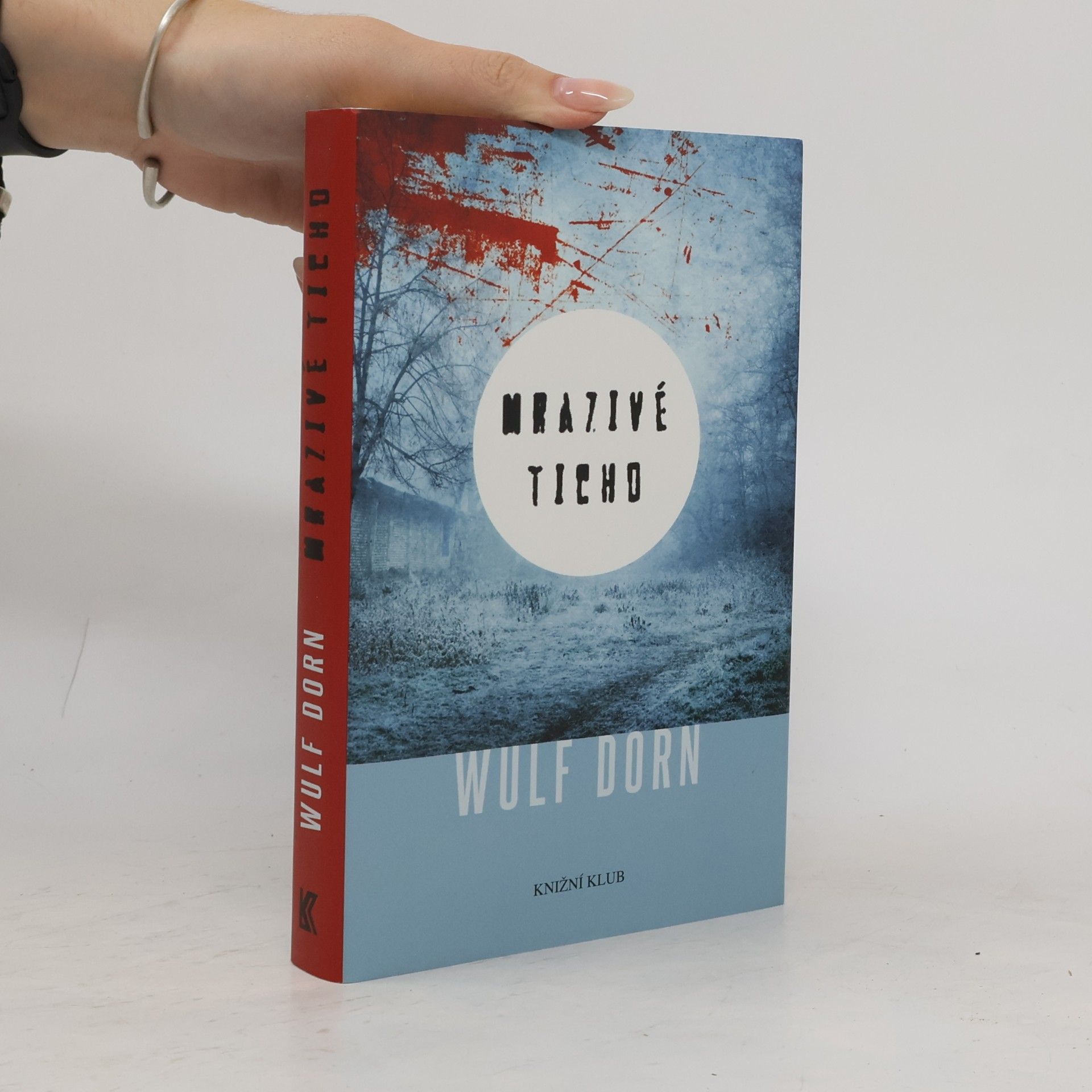 Wulf Dorn Mrazivé ticho