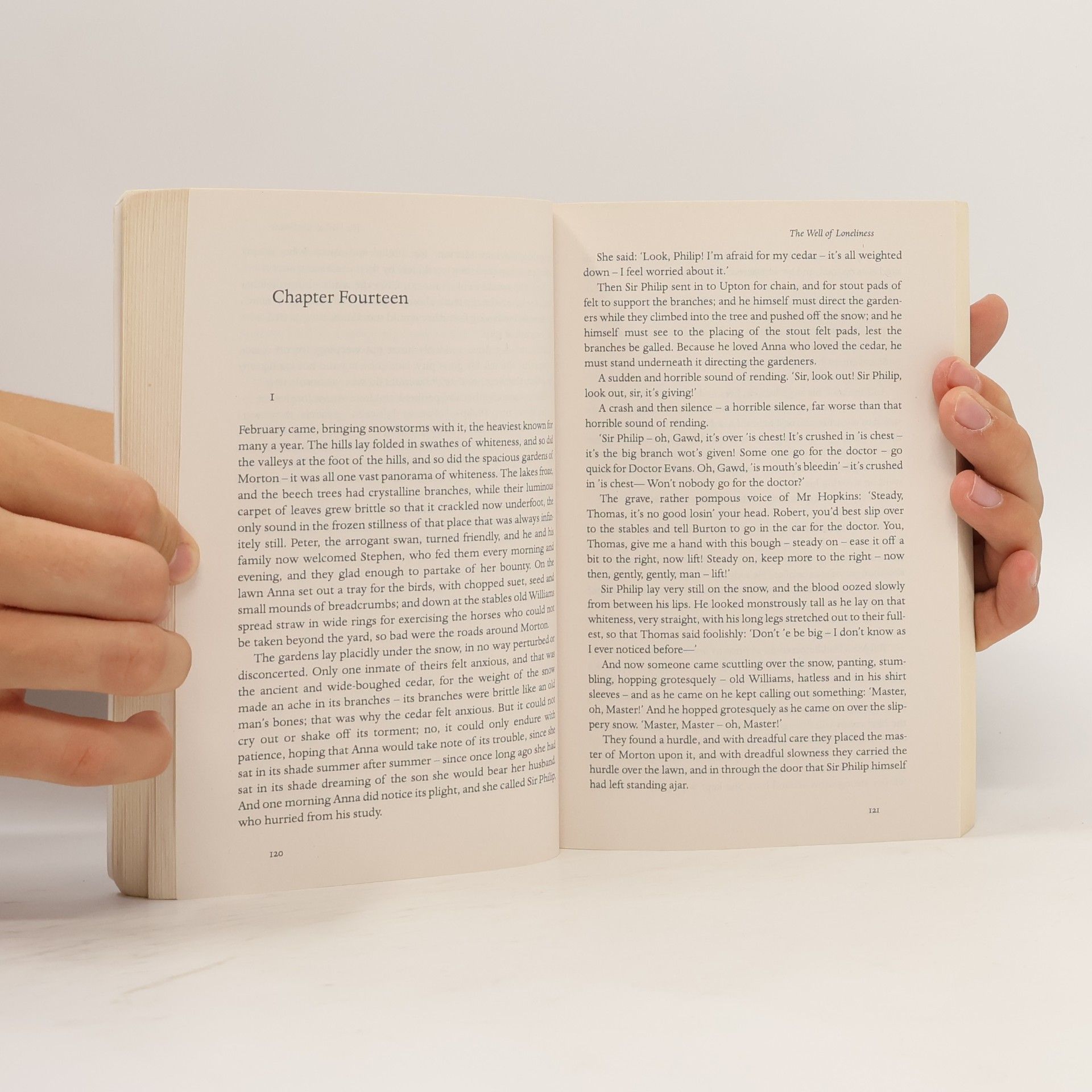 Radclyffe Hall The Well of Loneliness