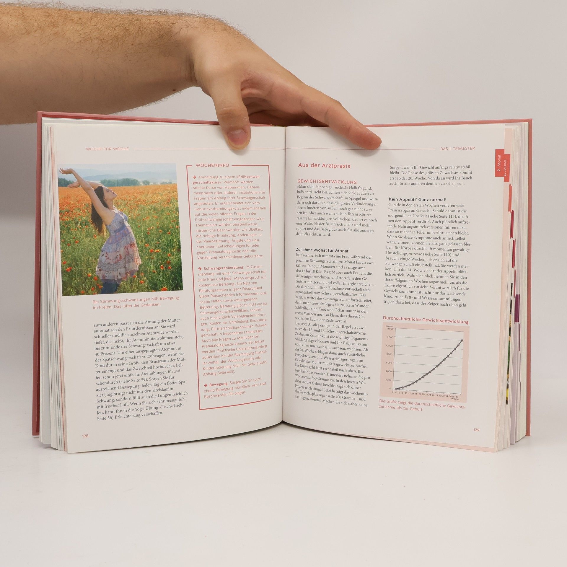 Franz Kain Das grosse Buch zur Schwangerschaft
