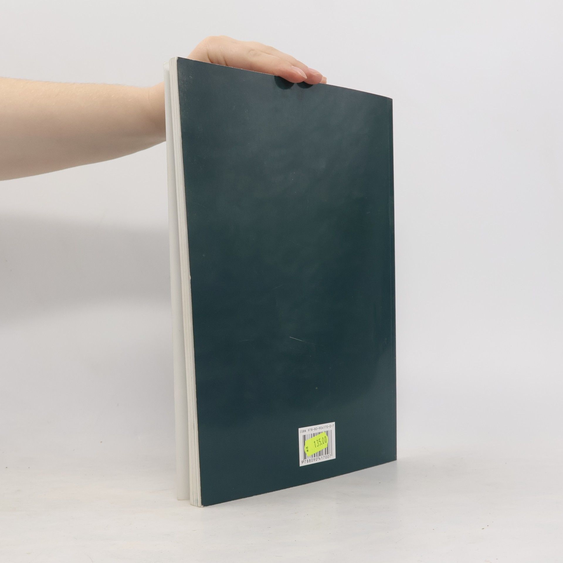 Václav Hurych Mělník : město v zeleni