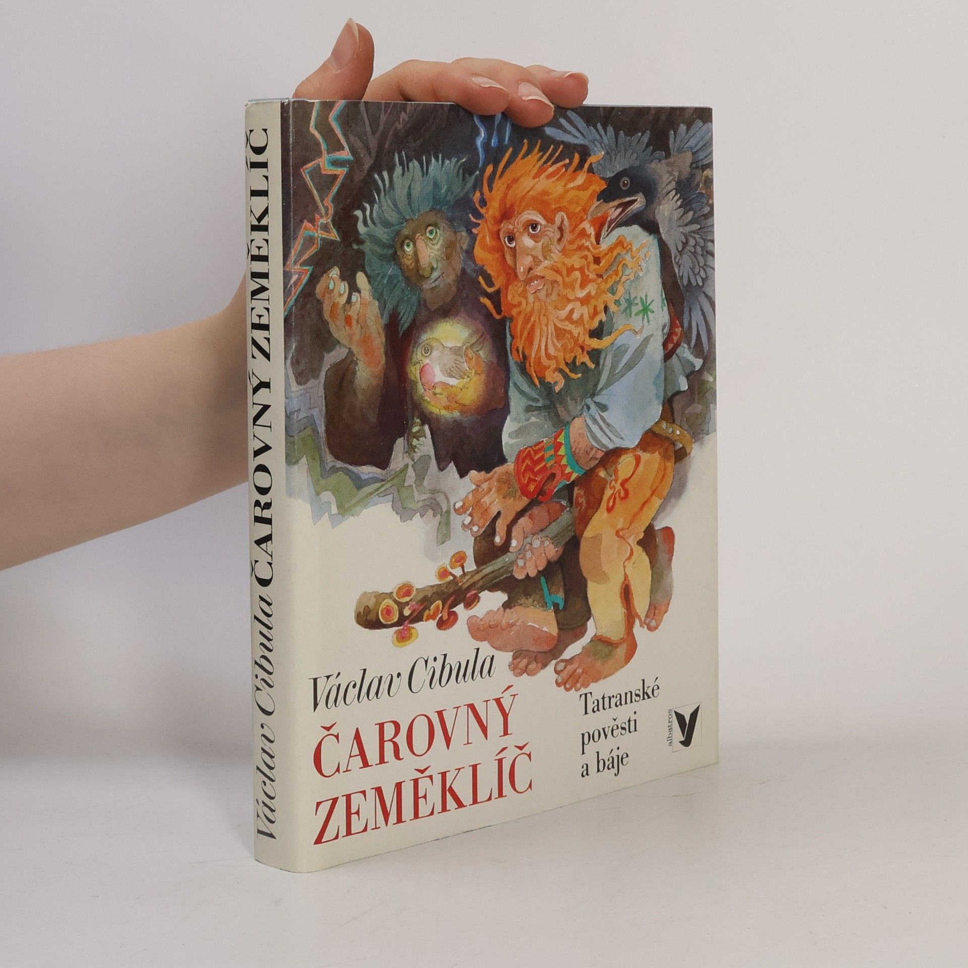 Václav Cibula Čarovný zeměklíč
