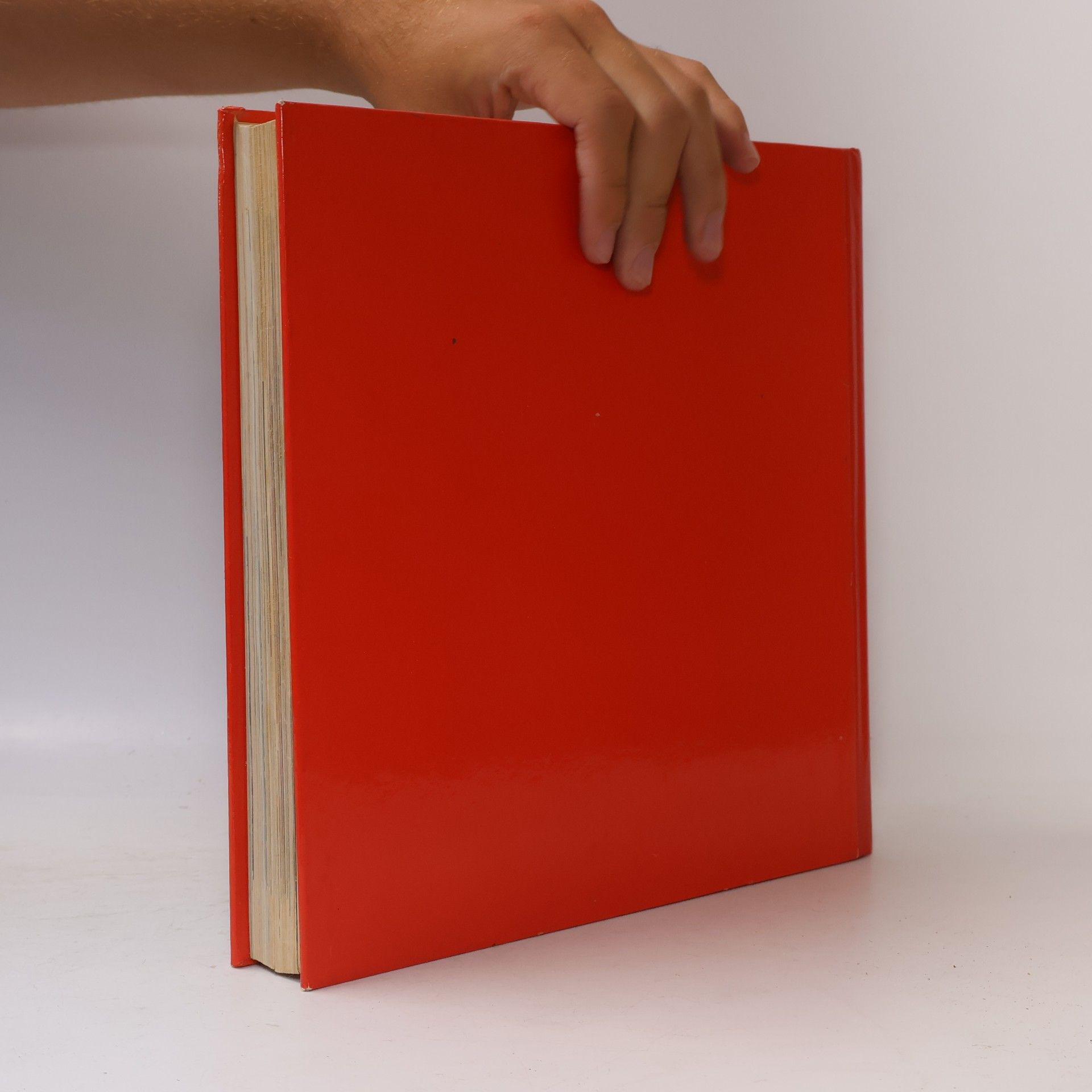 Paul Binsch Basteln, Werken, Spielen