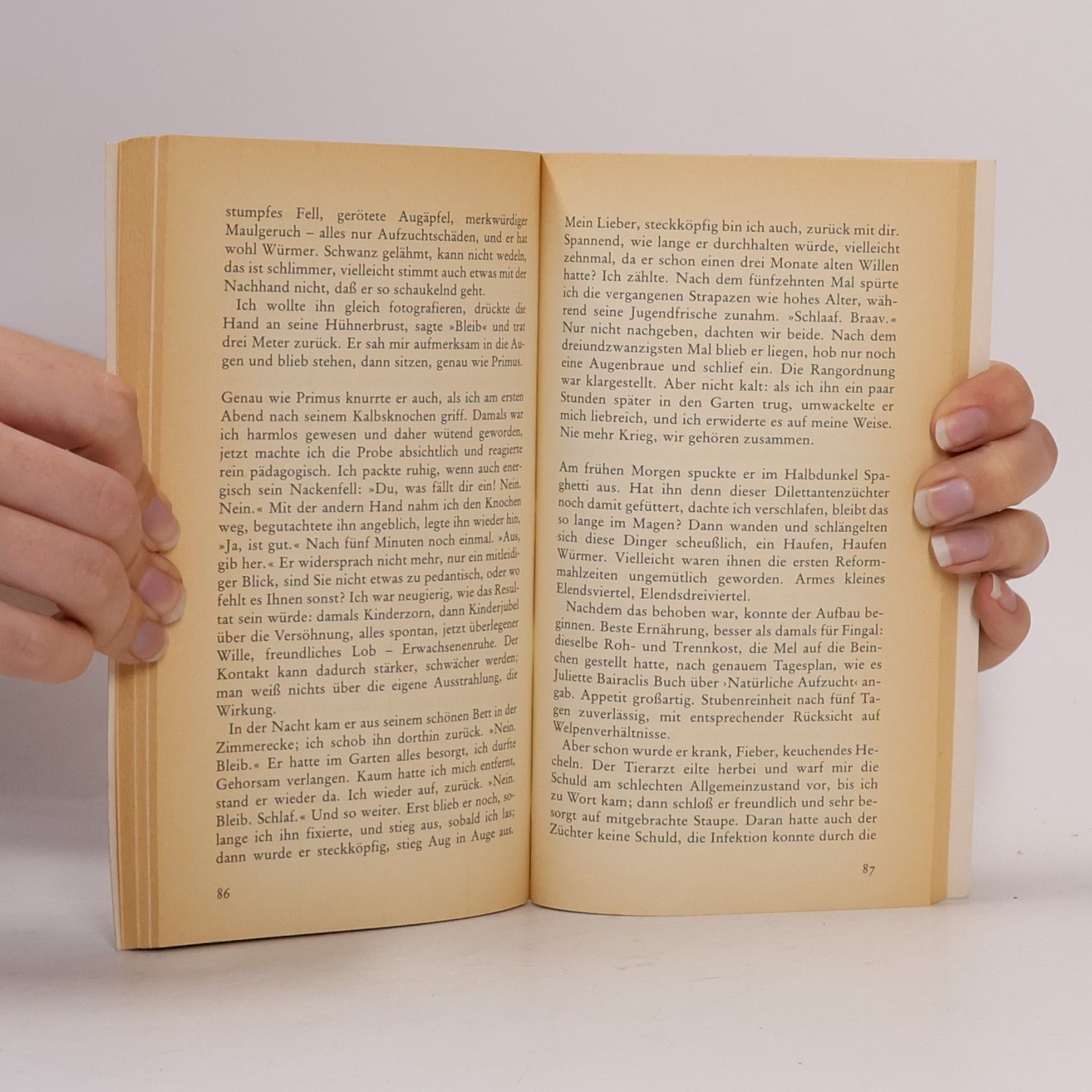 Irene Méline dtv Literatur: Allawa