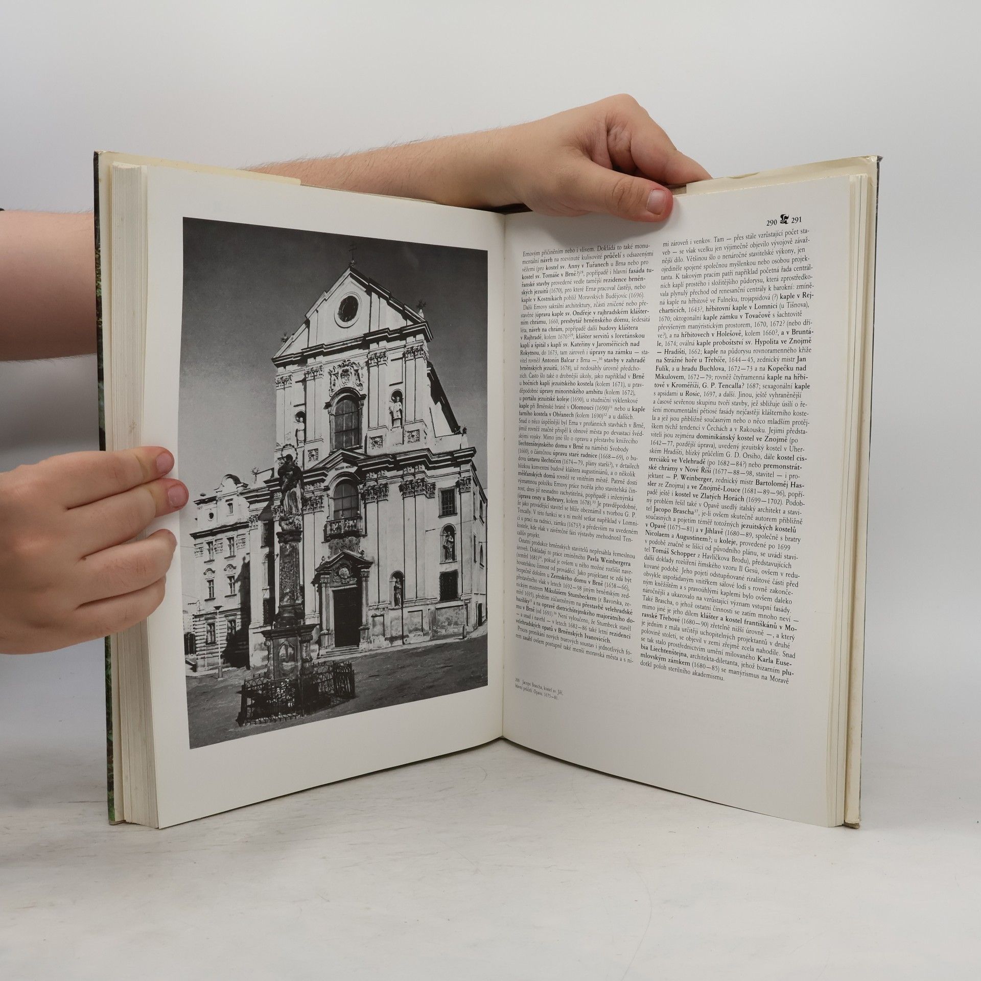 Various authors Dějiny českého výtvarného umění II/1