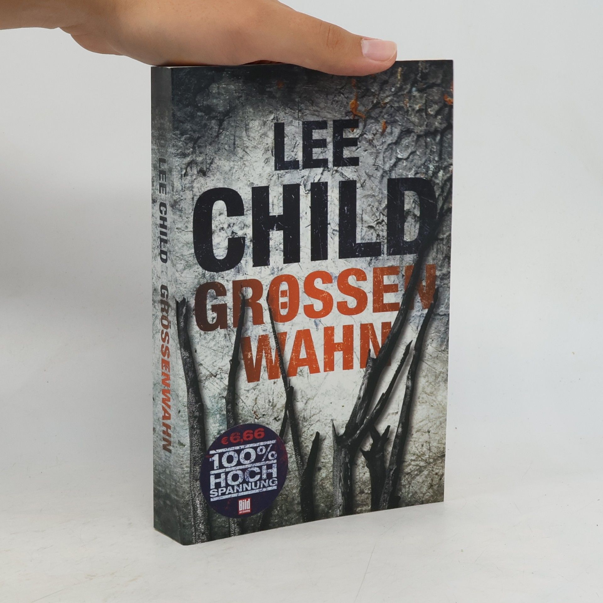 Lee Child Grössenwahn
